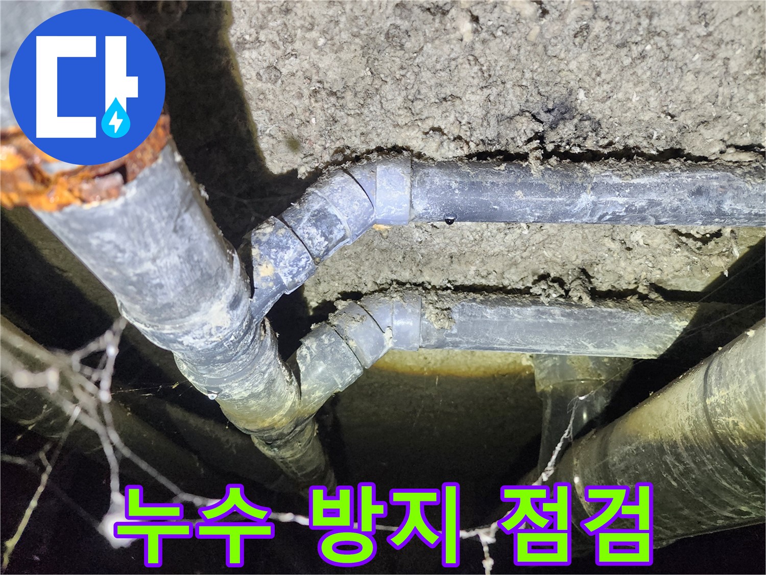 보문동 아남아파트 지하실 천장 배관 누수 방지를 위한 꼼꼼한 점검 현장