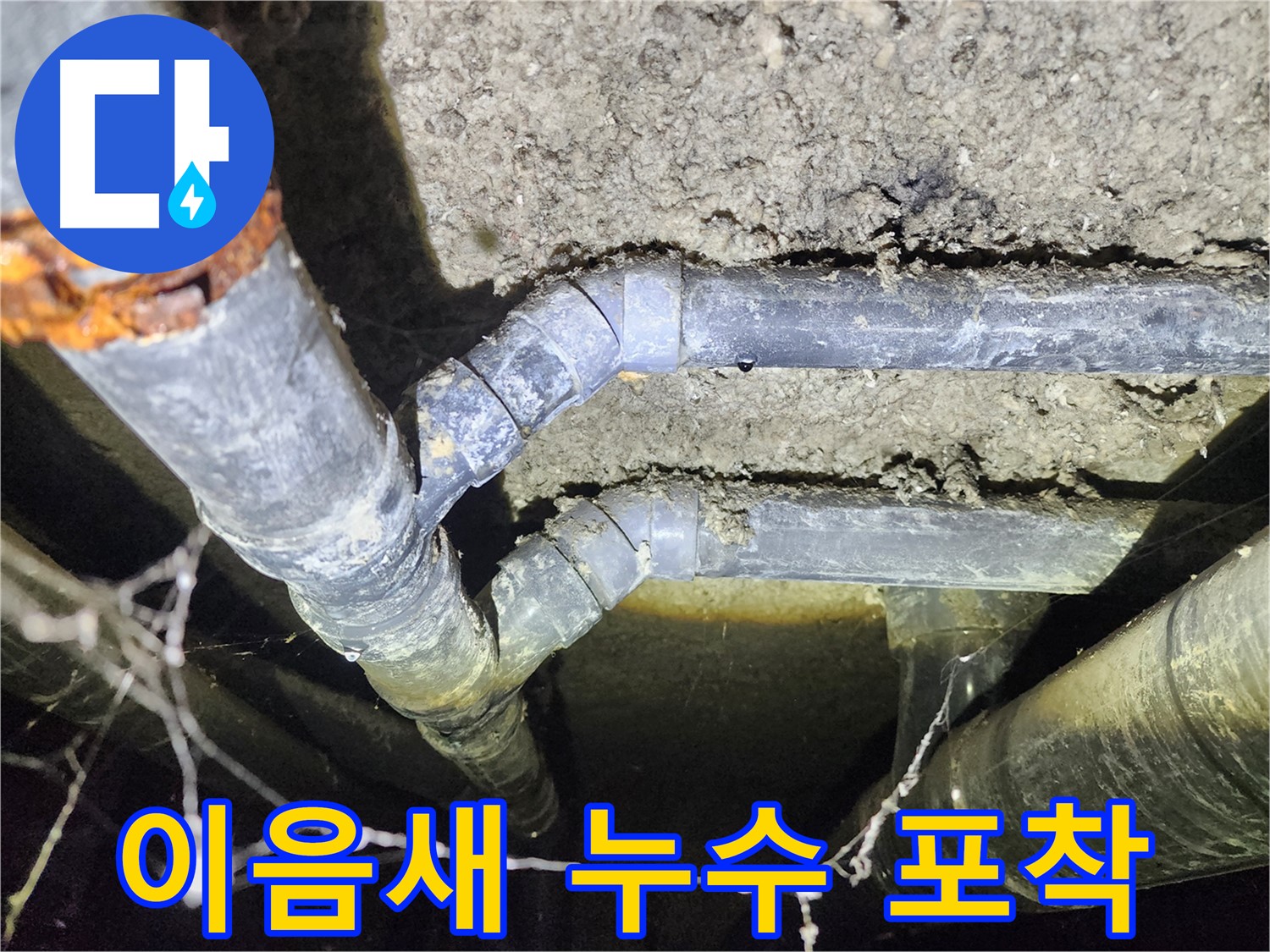보문동 아남아파트 지하실 천장 배관 이음새에서 누수 지점을 포착한 현장