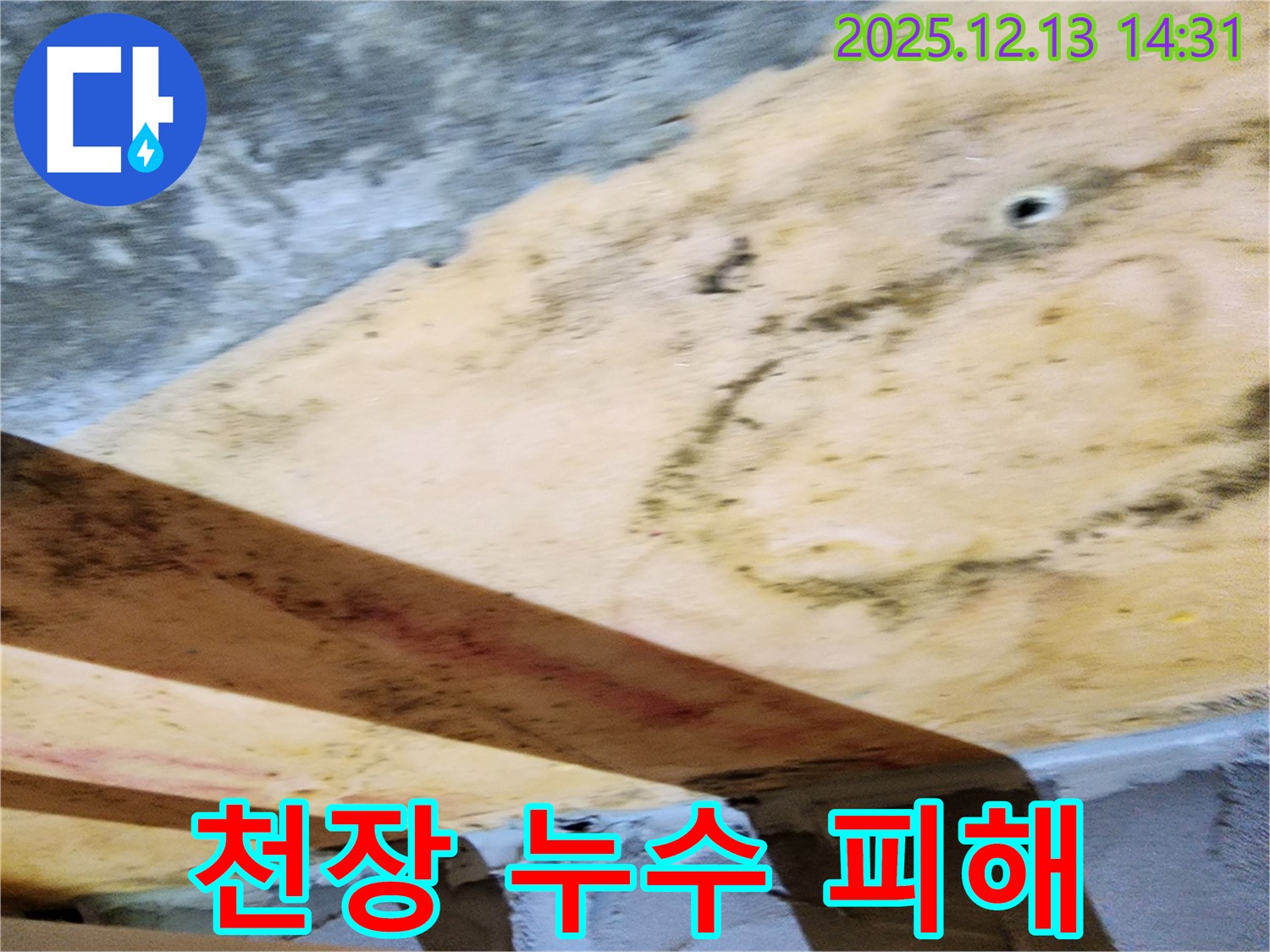 누수로 인해 손상된 천장 모습 - 곰팡이가 번식하고 페인트가 벗겨져 있다.