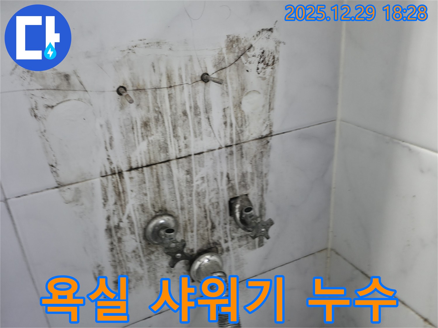 성북구 보문동 아남아파트 욕실 샤워기 누수 현장 - 타일 뒤쪽에서 발생한 누수를 꼼꼼하게 탐지하고 해결했습니다.