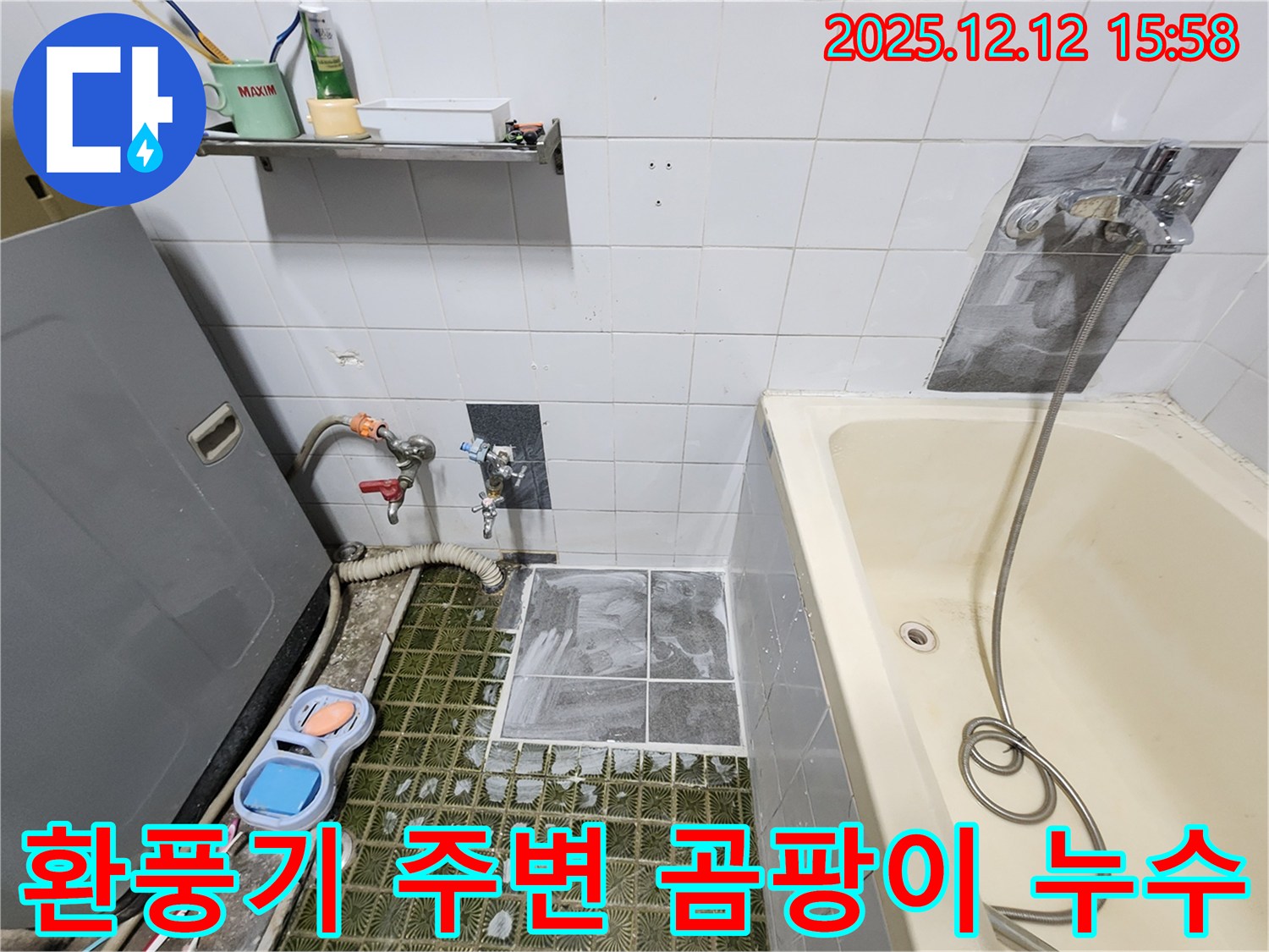 포천시 영북면 산정리 욕실 누수 - 환풍기 주변 곰팡이, 누수 가능성을 의심해 보세요.