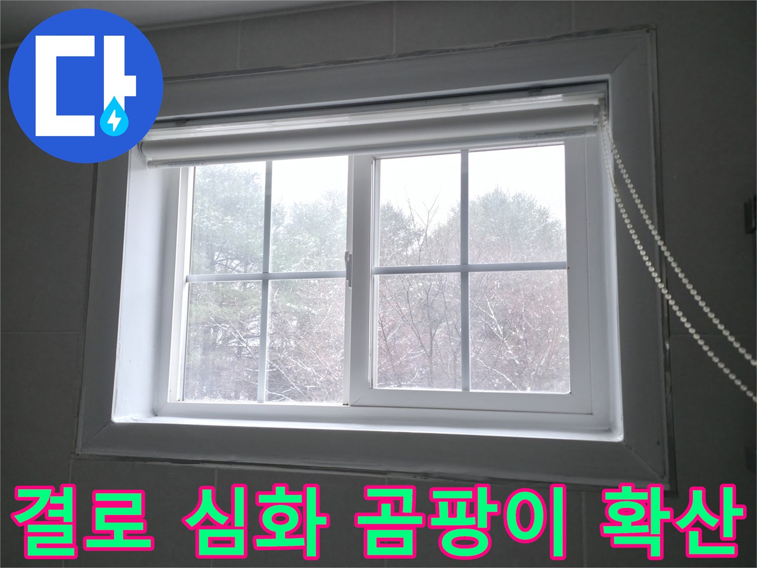 홍천군 서면 팔봉리에서 창문 주변 결로 심화로 인해 곰팡이가 확산된 모습 - 결로 방지 시공과 곰팡이 제거가 필요합니다.