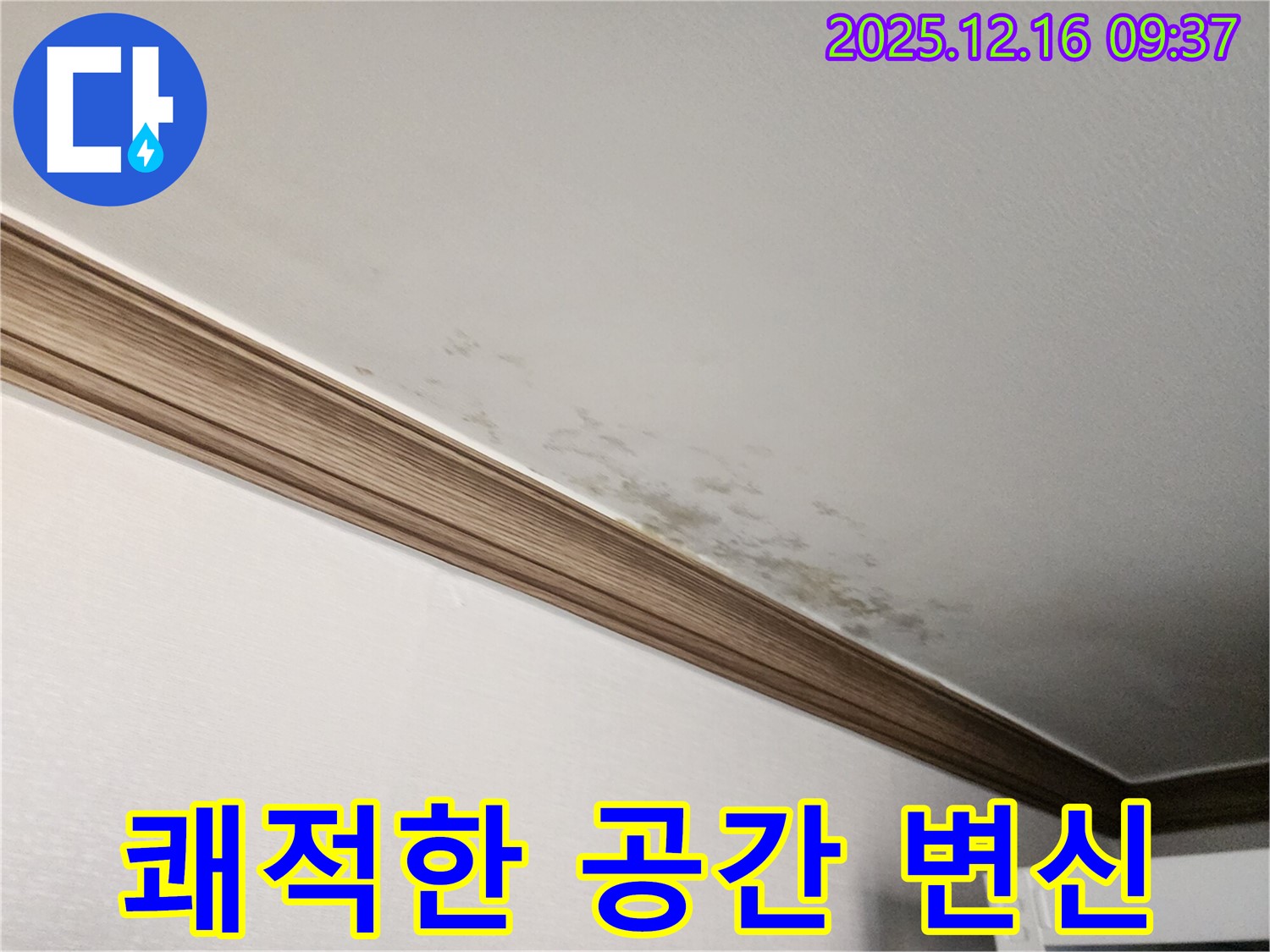 경기도 포천시 곰팡이 핀 천장 - 누수 해결과 곰팡이 제거, 쾌적한 공간으로 변신