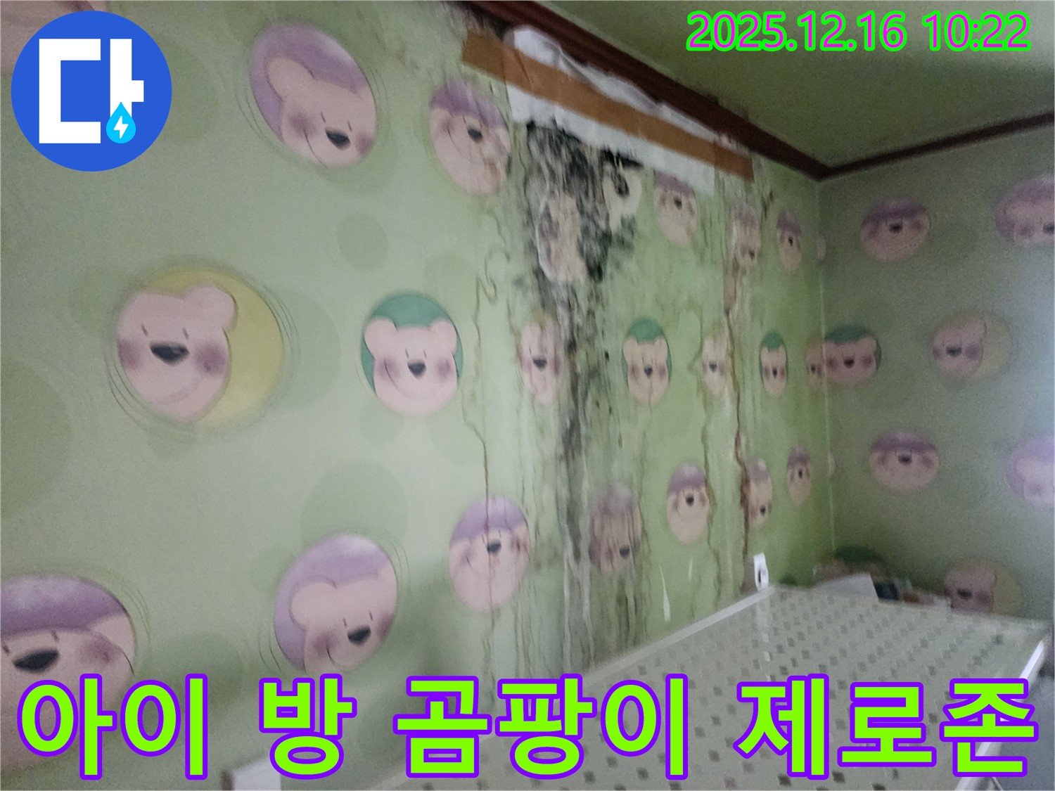 경기도 포천시 영북면 운천2리 아이 방 벽면의 곰팡이 - 곰팡이 제로존 만들기, 쾌적한 공간으로 변신