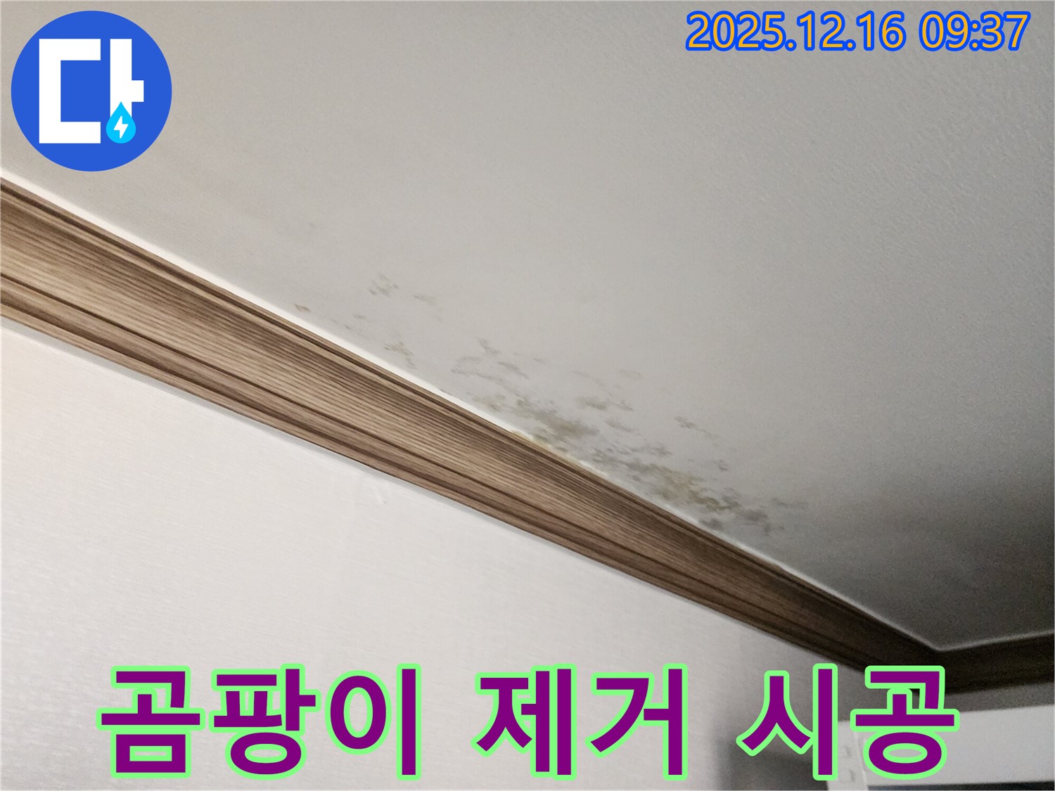 경기도 포천시 영북면 운천리 곰팡이 천장과 몰딩 - 누수 해결 후 곰팡이 걱정 싹!