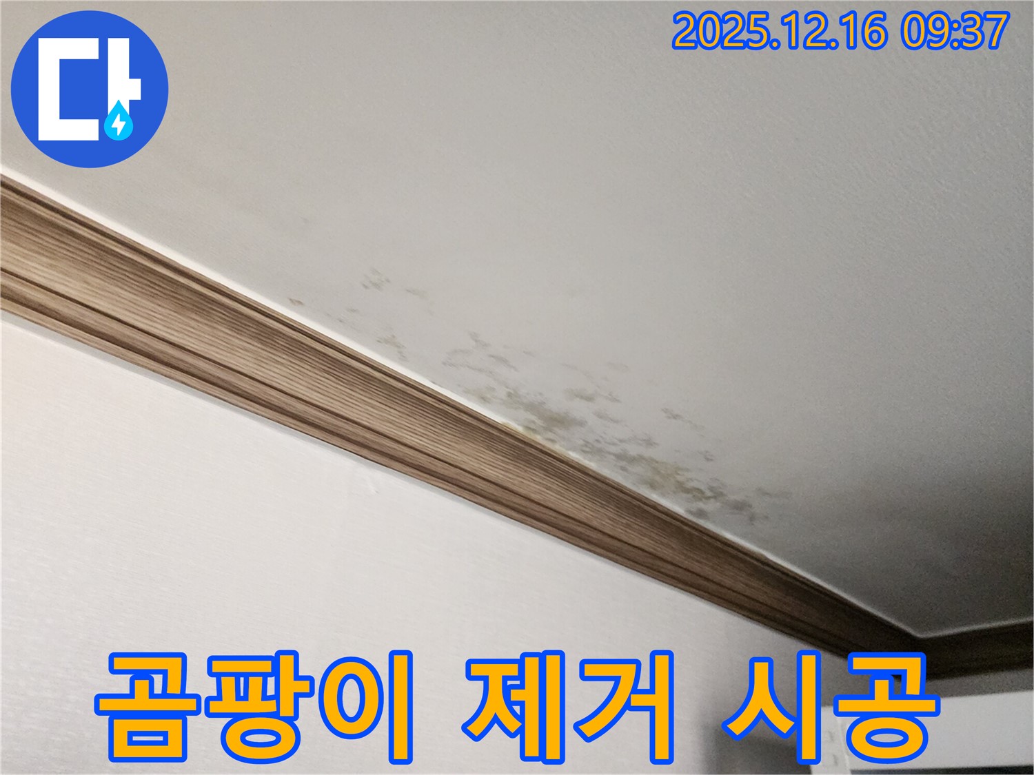 경기도 포천시 영북면 운천리 곰팡이 천장과 몰딩 - 누수 해결 후 곰팡이 걱정 싹!