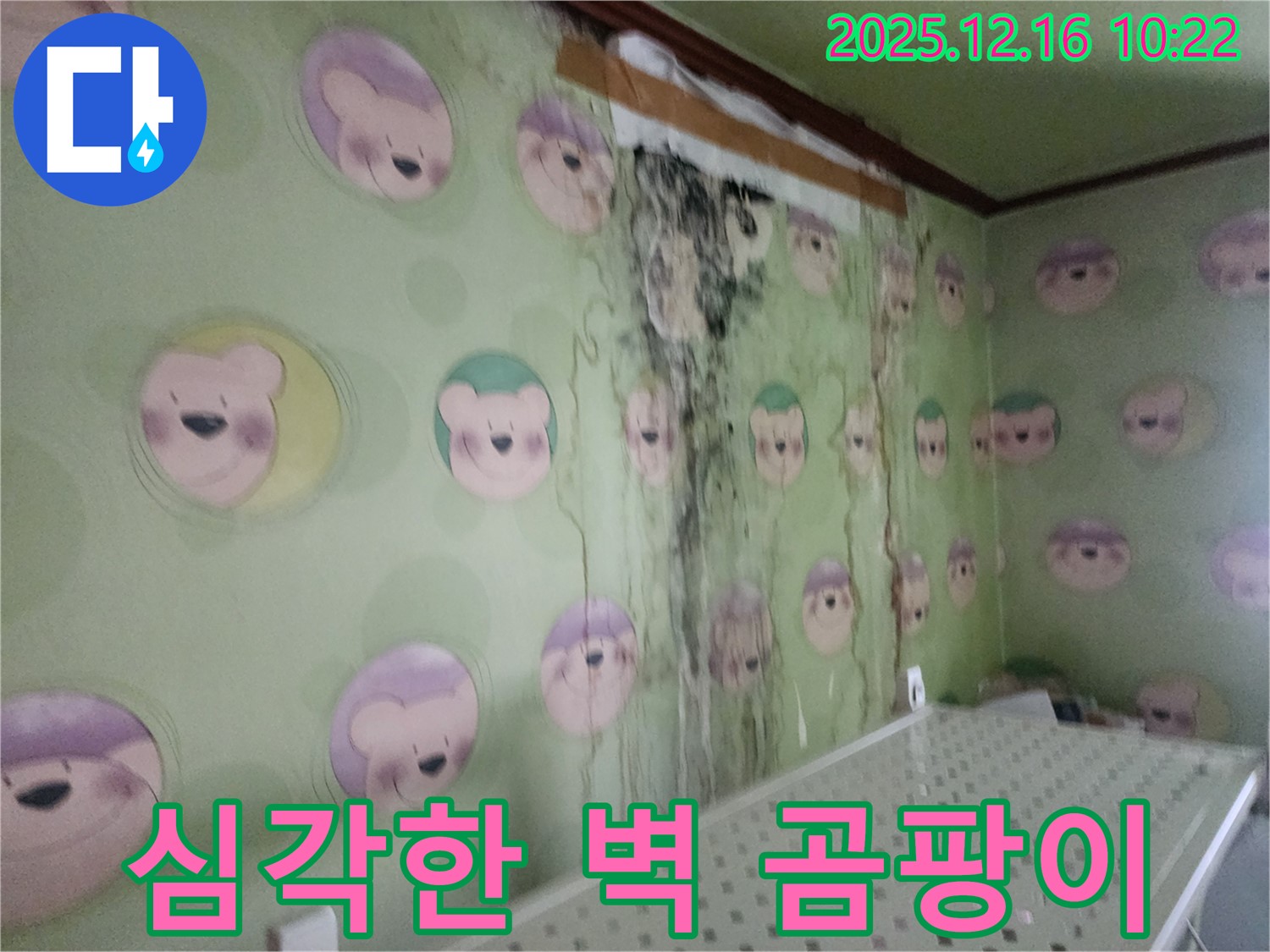 경기도 포천시 영북면 운천리 주택 벽면의 심각한 곰팡이 발생 - 누수 해결 및 곰팡이 제거로 걱정 해결