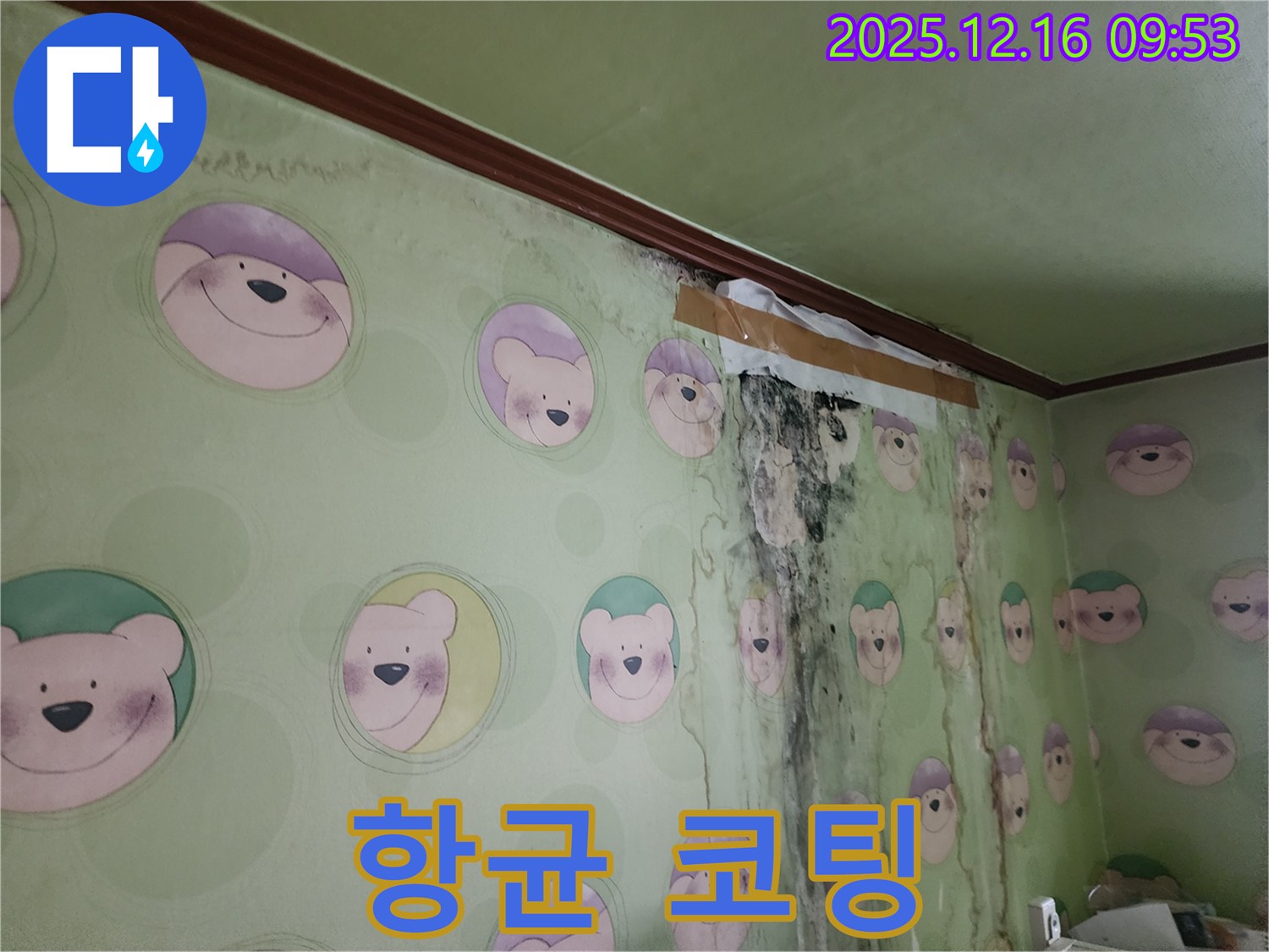 곰팡이 제거 후 항균 코팅 시공 - 곰팡이 재발을 억제하고 위생적인 환경을 유지합니다.