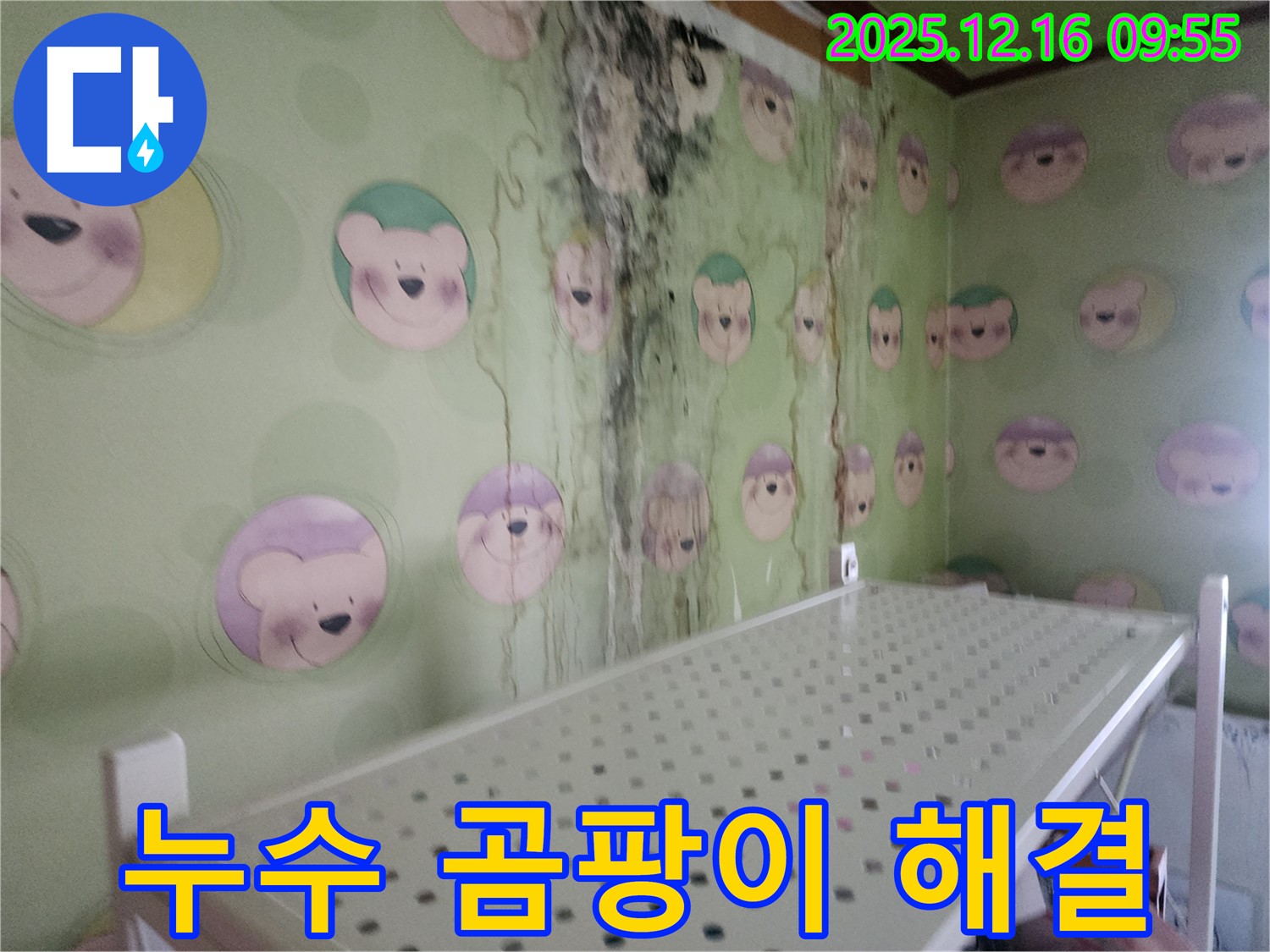 벽 곰팡이 - 누수 문제를 해결하고 곰팡이까지 깨끗하게 제거하여 쾌적한 보금자리를 만들었습니다.