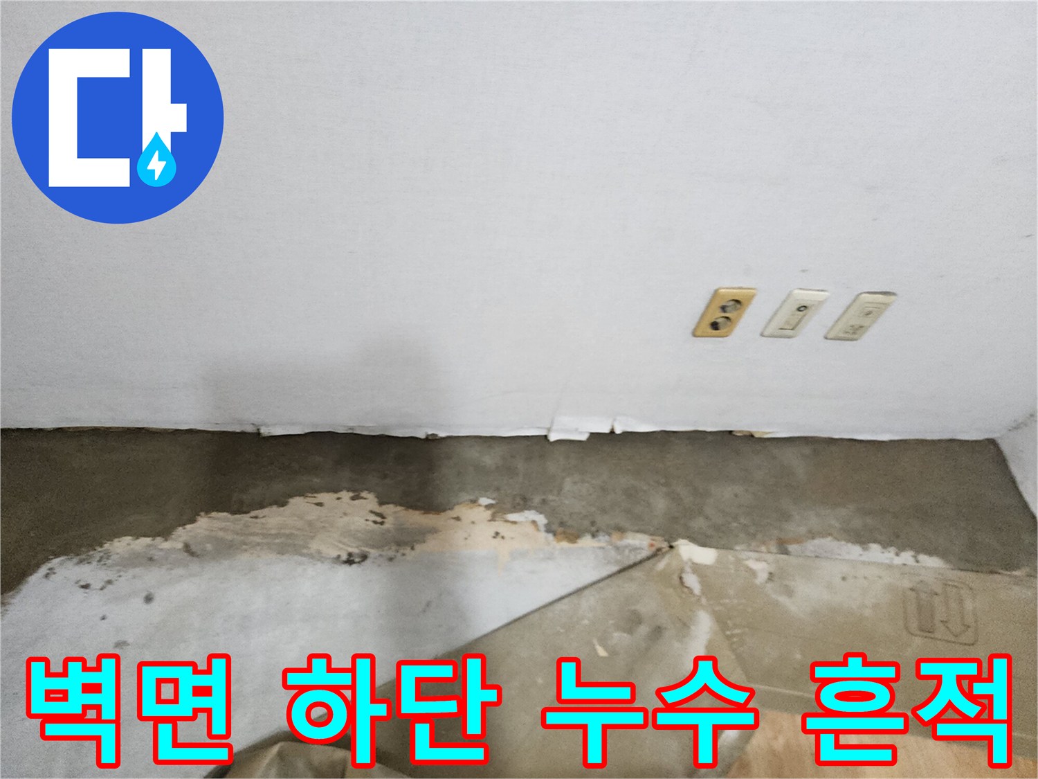 벽면과 바닥 경계-곰팡이와 습기 발생 부위