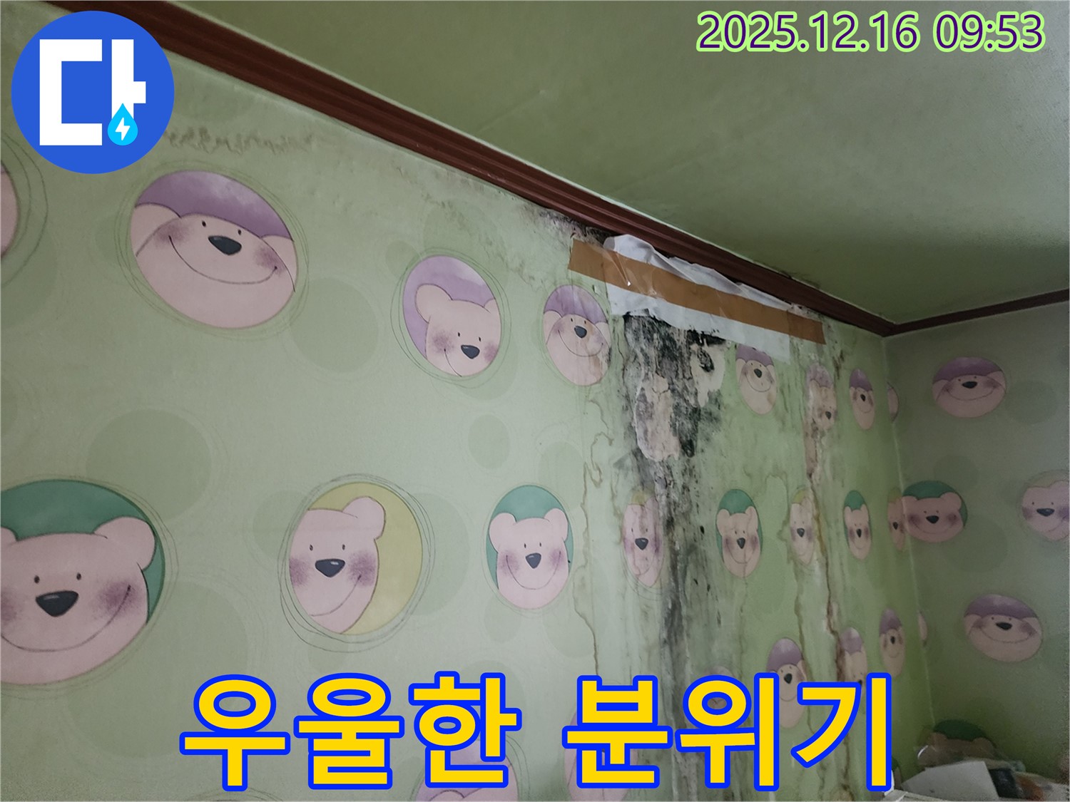 아이 방이 곰팡이로 인해 칙칙하고 우울하게 변한 모습 - 곰팡이 제거와 함께 밝고 쾌적한 분위기를 만들어 드립니다.