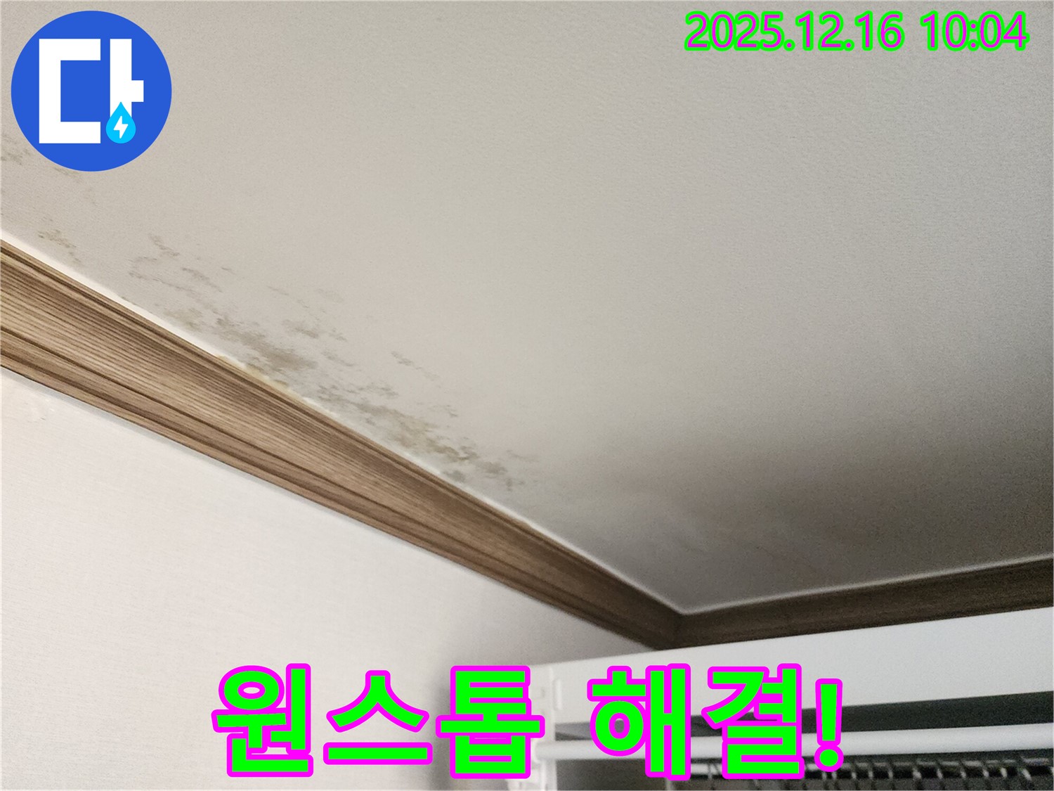운천리 곰팡이 천장 - 원인 진단부터 완벽 시공까지 원스톱 해결!