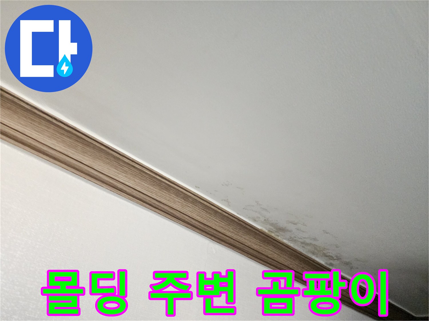 천장과 벽면 접합부의 곰팡이 및 얼룩 현상