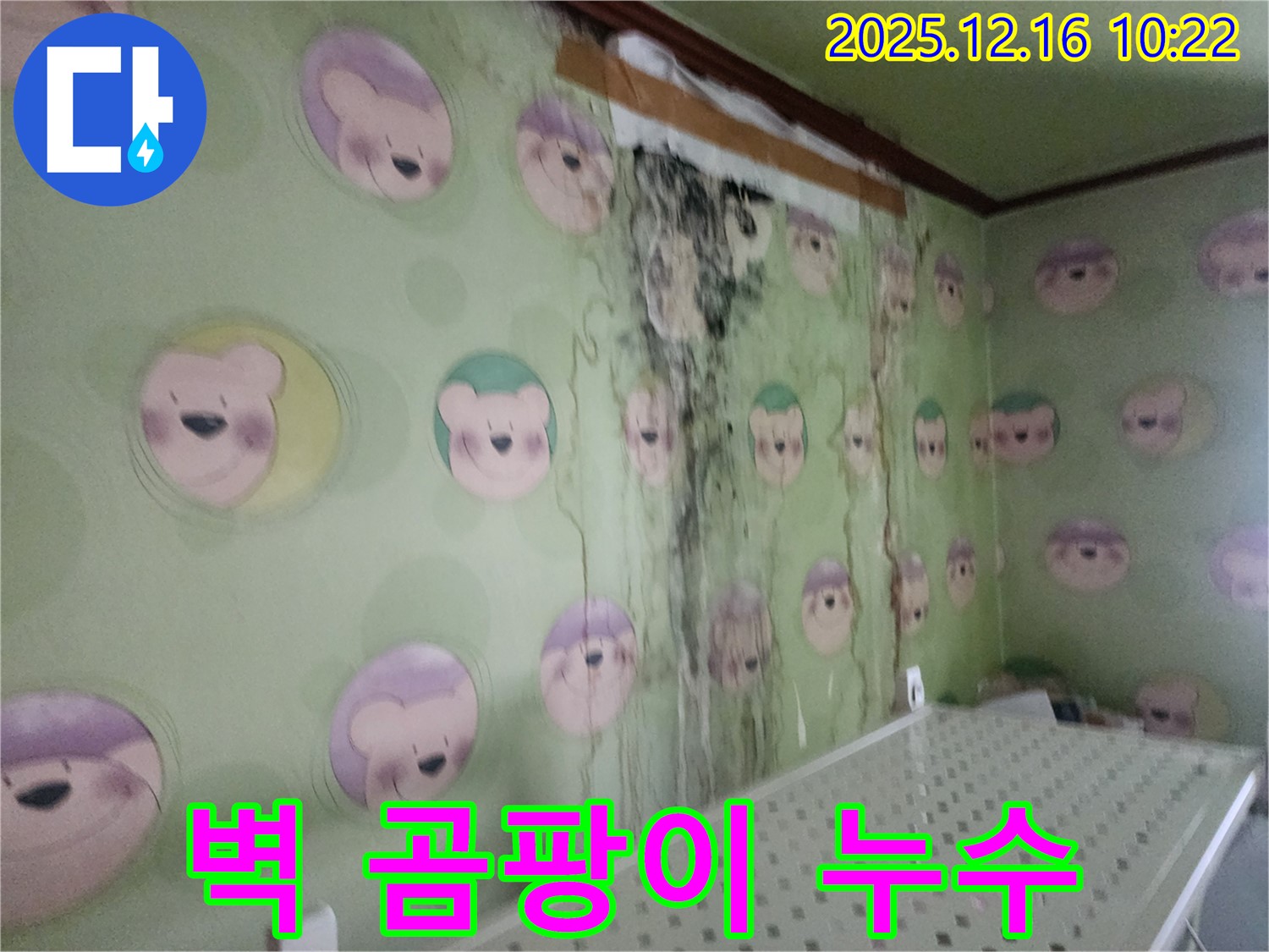 포천시 영북면 운천2리 주택 벽면의 누수와 곰팡이 문제 - 완벽 차단 시공으로 쾌적한 공간 완성