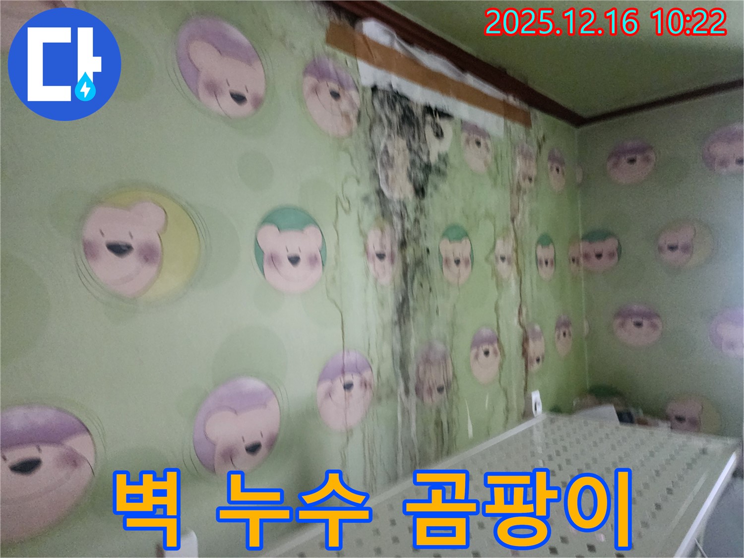 포천시 영북면 운천2리 주택 벽면의 누수와 곰팡이 문제 - 전문 업체의 고민 해결 서비스