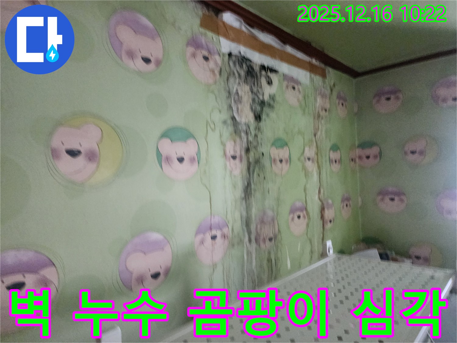 포천시 영북면 운천리 주택 벽면의 심각한 누수와 곰팡이 문제 - 전문 업체의 완벽한 해결 사례