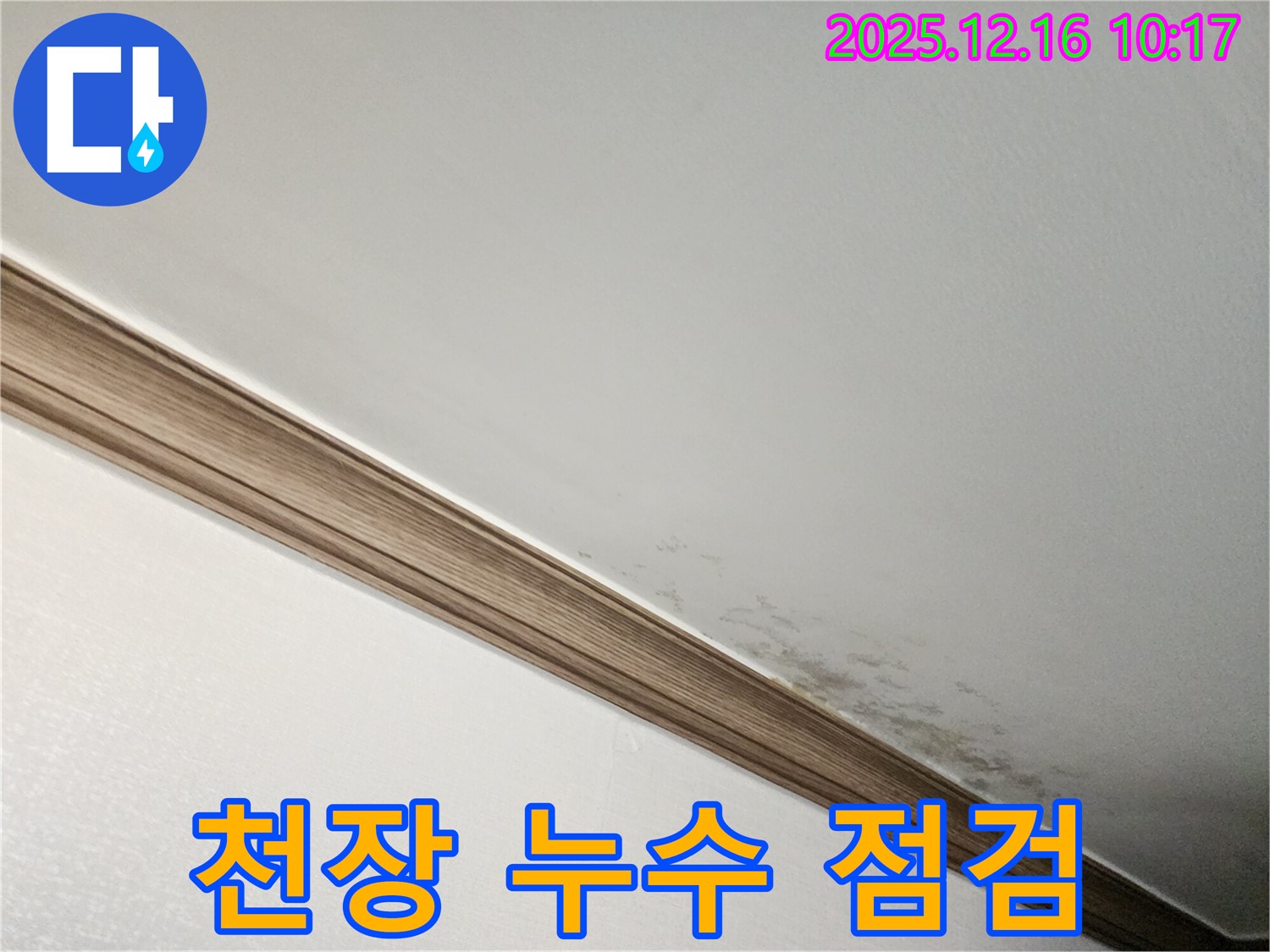 포천시 영북면 천장 누수 점검 - 누수 전문가의 꼼꼼한 점검 과정