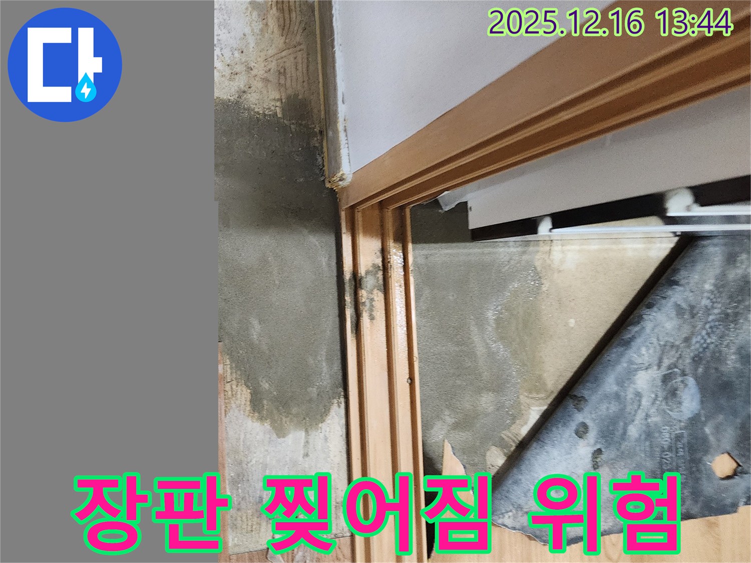 소홀리 - 장판 찢어짐으로 발에 걸려 넘어질 뻔한 위험한 상황
