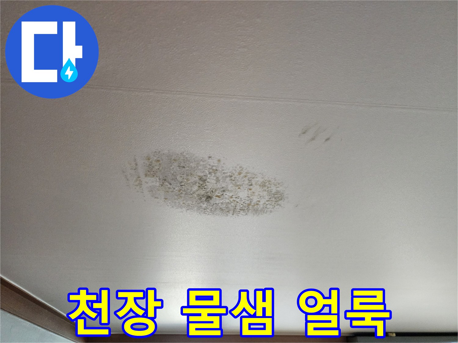 영북면 현장 사진 - 천장 마감재의 곰팡이 및 습기 오염 상태