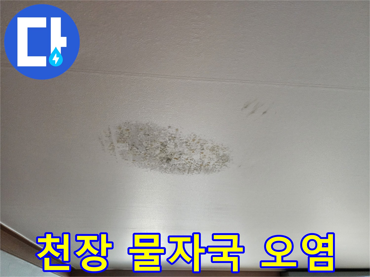 천장 마감재에 나타난 어두운색의 누수 흔적과 곰팡이