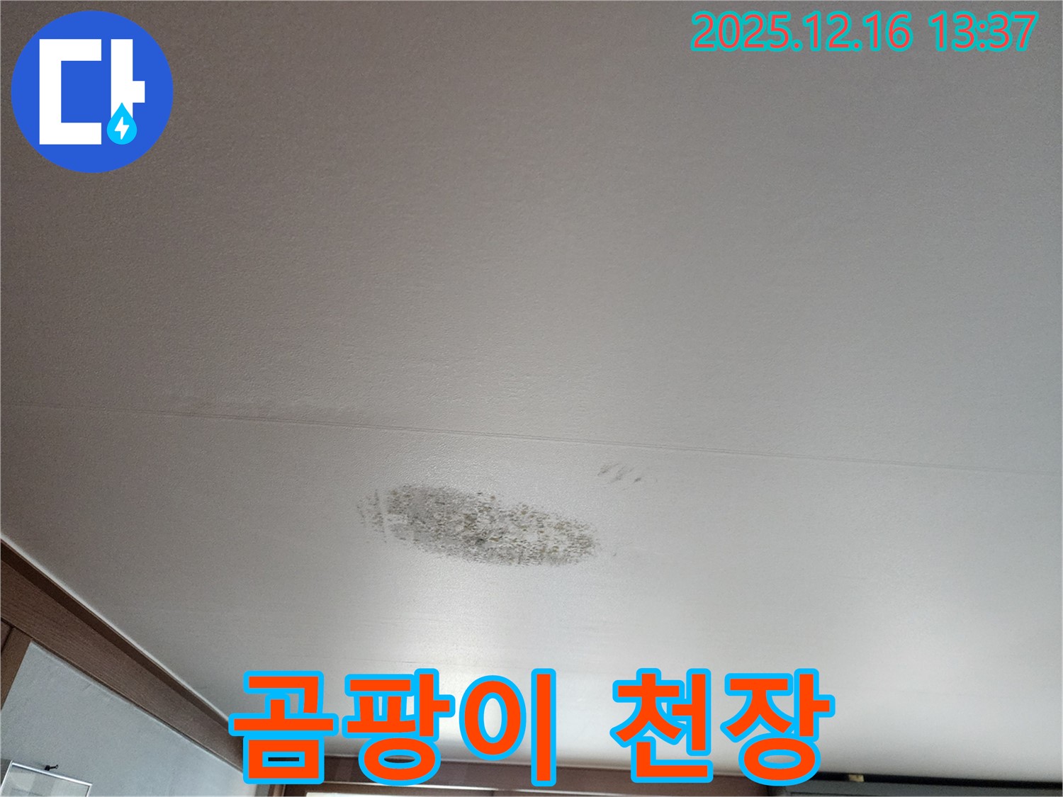포천 영북면 소홀리 - 곰팡이 핀 천장 - 누수 해결 후 쾌적한 수면 환경으로