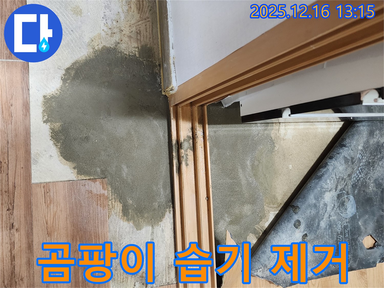 포천시 영북면 소홀리 누수 현장 - 장판 밑 곰팡이와 습기를 제거하여 쾌적한 환경을 만드는 작업입니다.