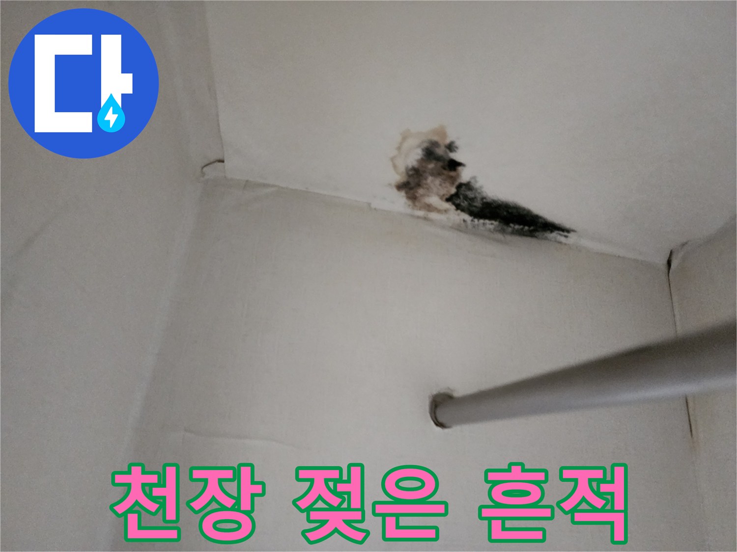 누수 지점 확인-천장 마감재의 검은 곰팡이와 습기 부위