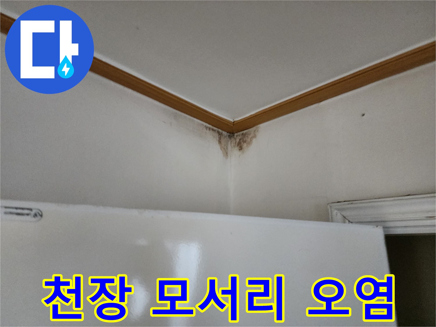 벽지와 천장이 만나는 지점의 곰팡이 및 물자국