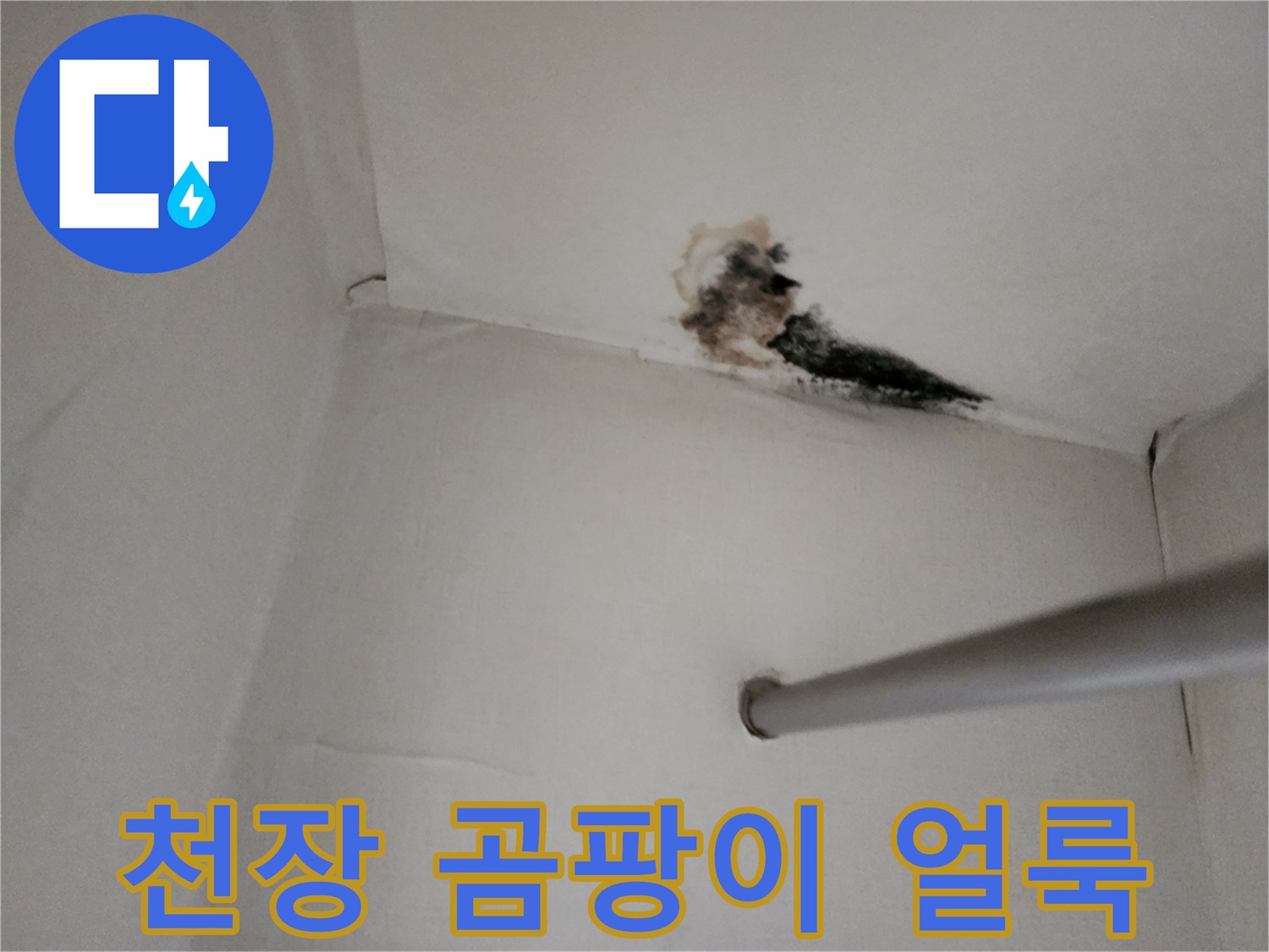 양주 고암동 현장-천장에 발생한 검은 곰팡이와 변색된 흔적