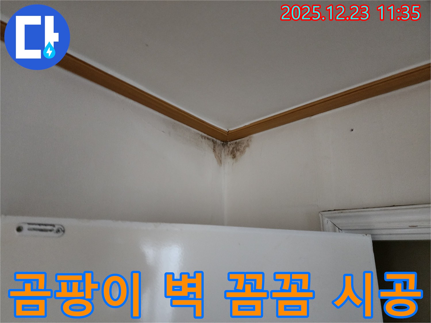 양주시 고암동 곰팡이 핀 벽 - 꼼꼼한 누수 점검과 확실한 시공 과정