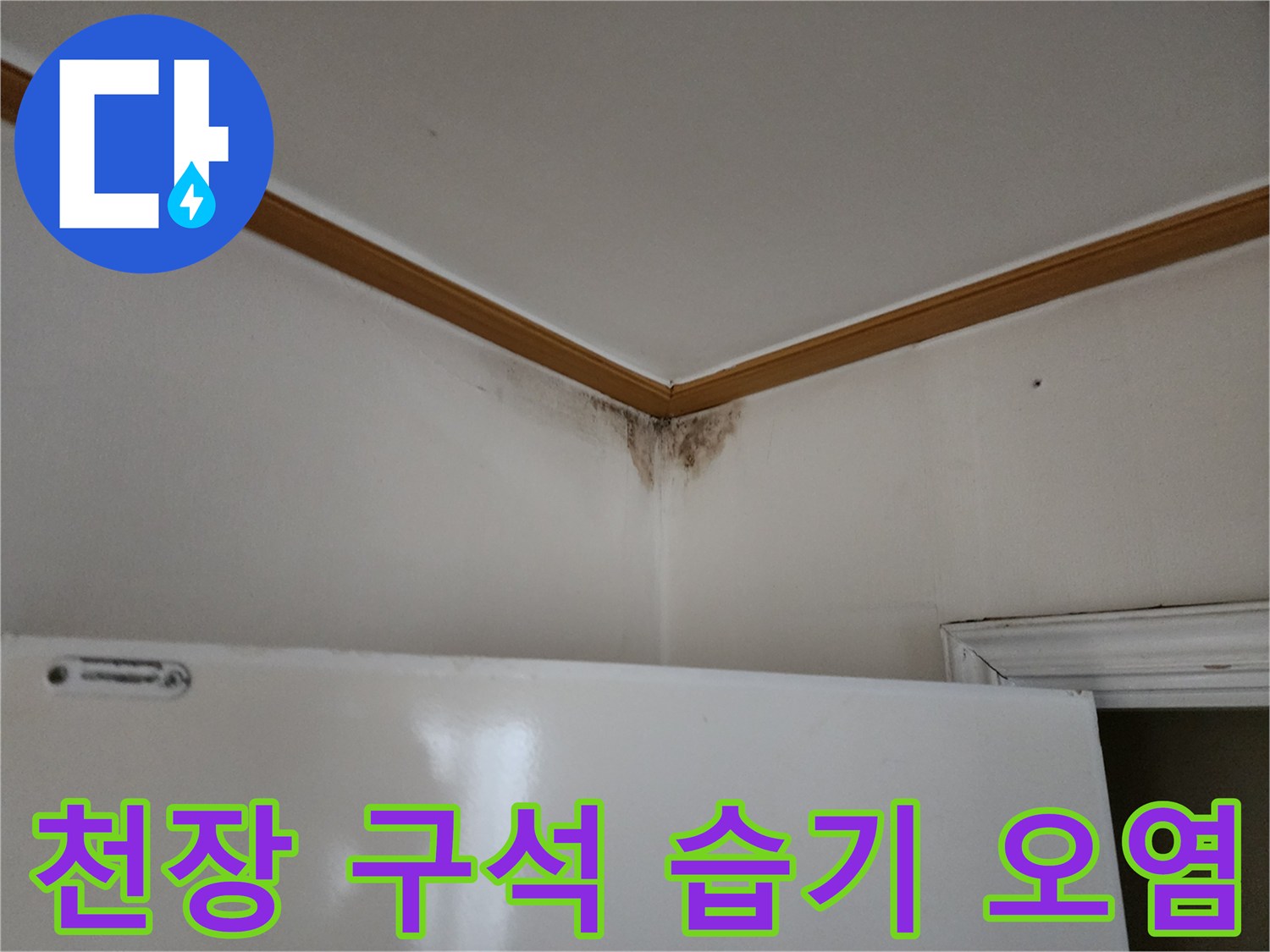 천장과 벽이 만나는 틈새에 생긴 곰팡이와 변색된 벽지 사진입니다.