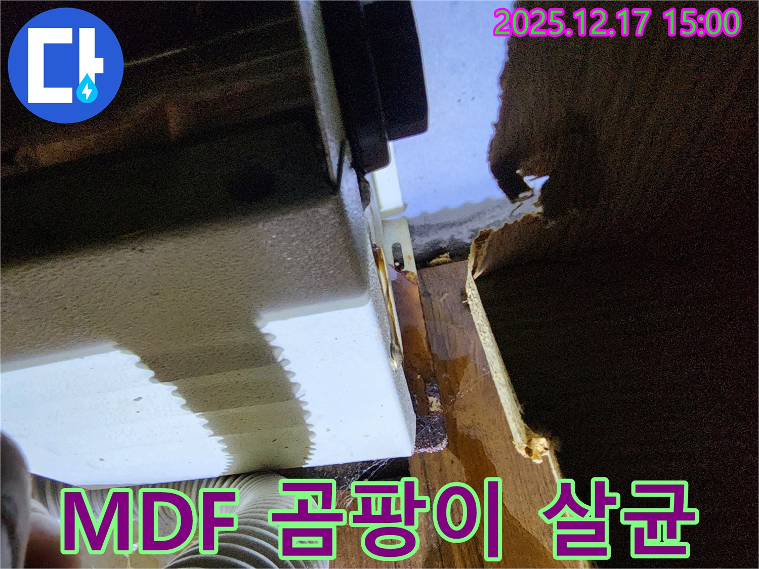 MDF 곰팡이 제거 및 완벽 살균으로 싱크대 누수 문제 해결 - 대회리 누수 전문 업체