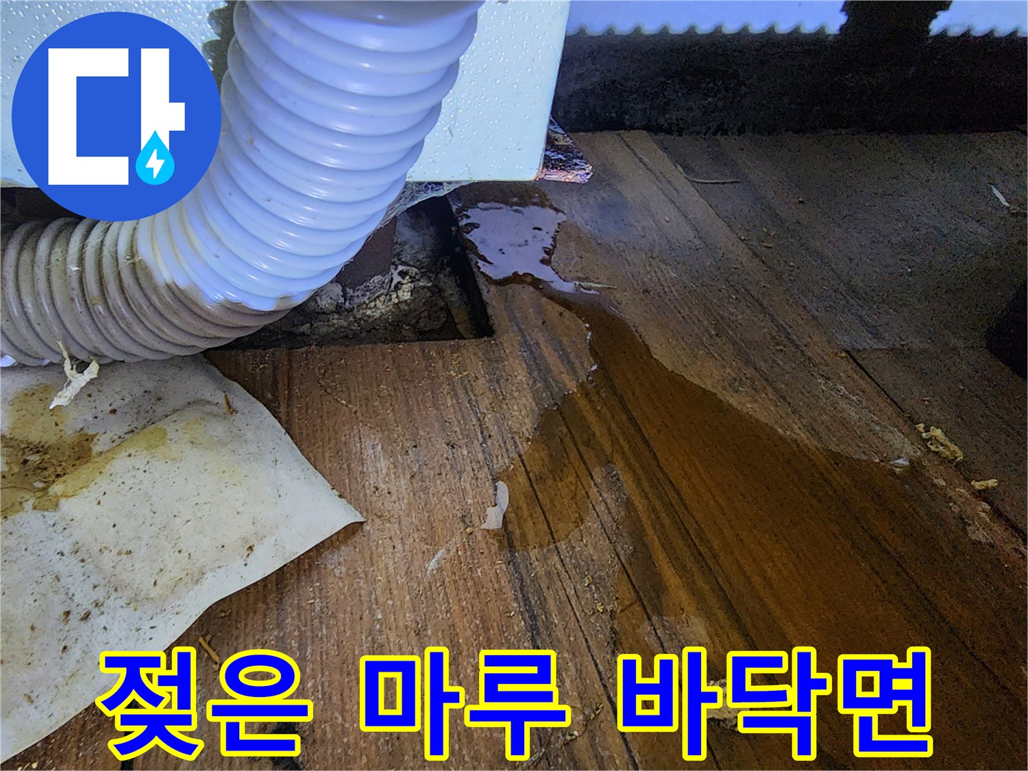 물기에-젖어-어두워진-마루-상태