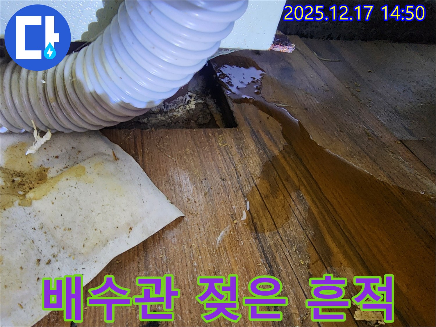 포천 영북면 대회리 누수 - 싱크대 배수관 주변에 젖은 흔적을 발견하고 누수를 확인하여 꼼꼼하게 마무리 작업하는 모습입니다.