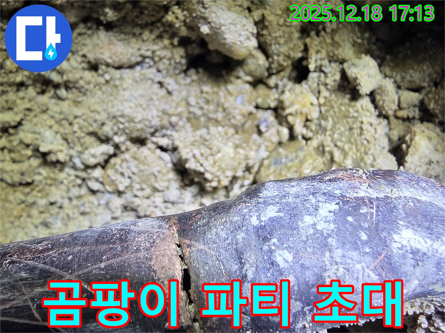곰팡이 파티 초대장 - 시흥 신천동 누수탐지 전문