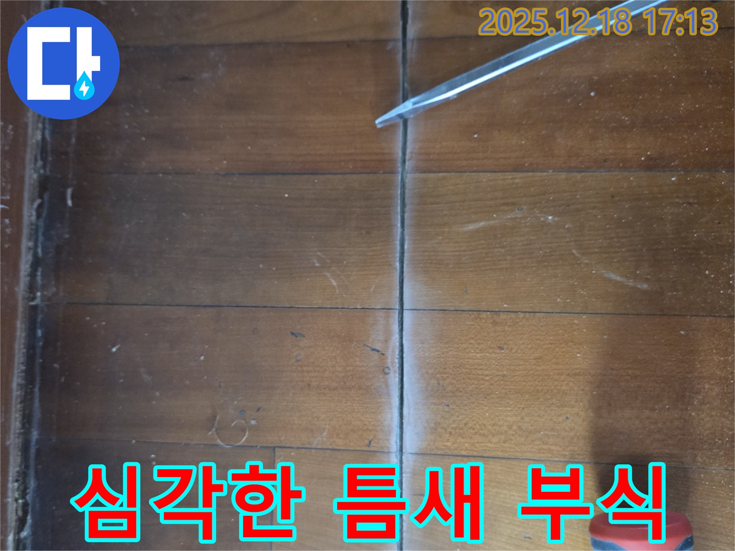 마루 틈새 심각한 부식 - 틈새 주변 마루가 심하게 썩어 파손되어 붕괴 위험이 있는 상태 - 장기간 누수 방치