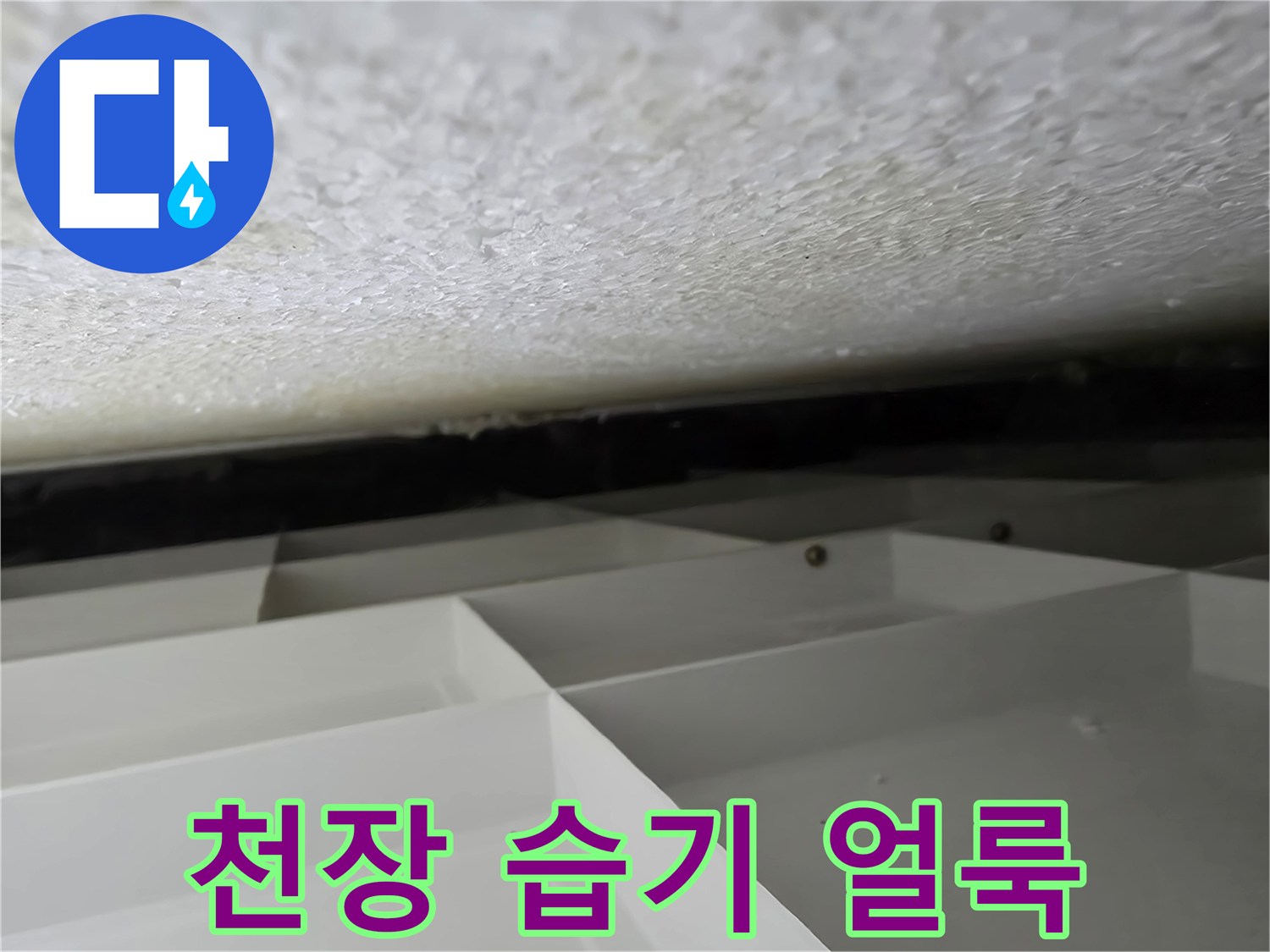 시흥 신천동 현장의 천장 표면 습기 및 변색 상태