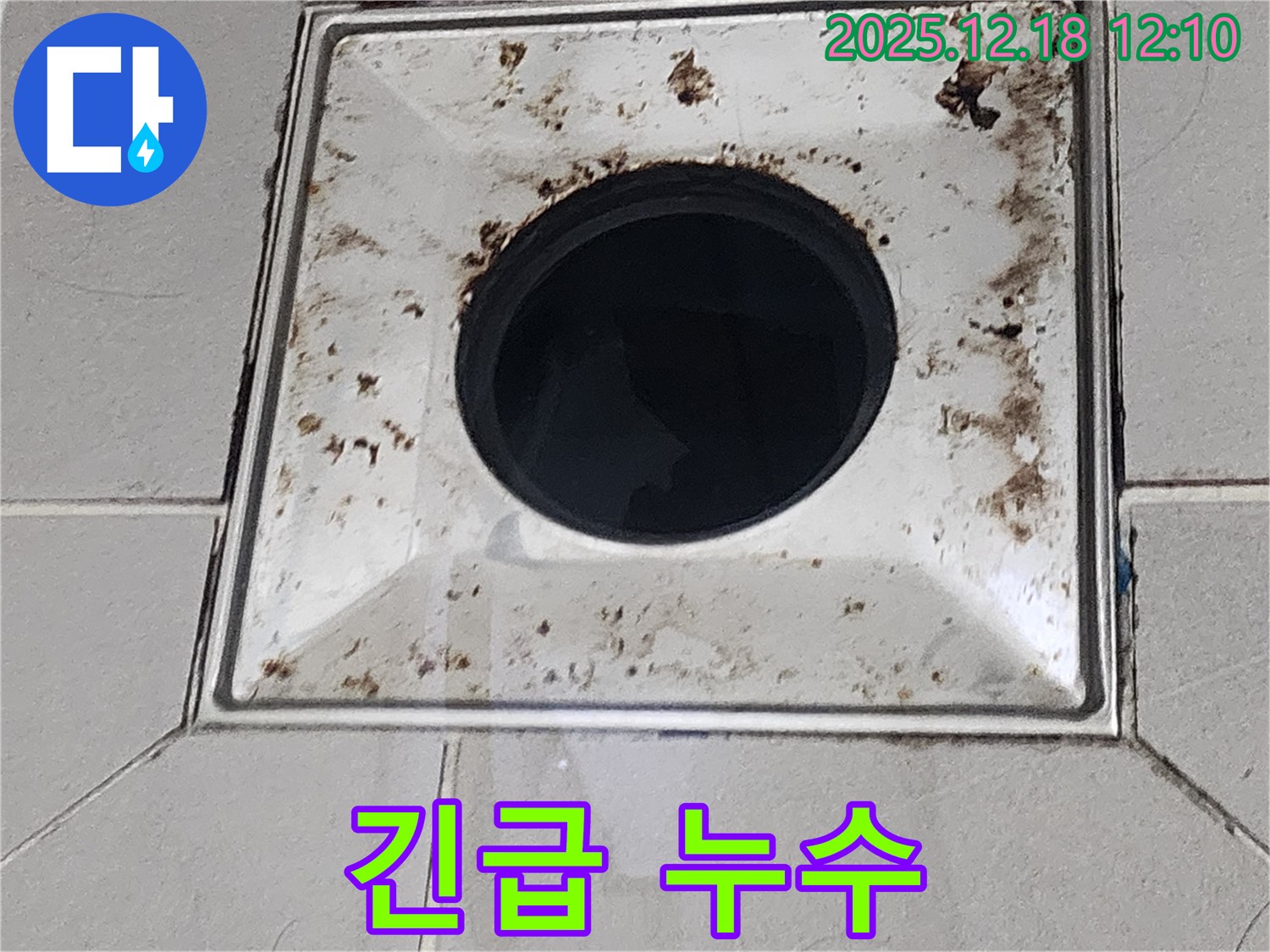 갑작스러운 욕실 배수구 누수 긴급 복구 - 가채리 누수