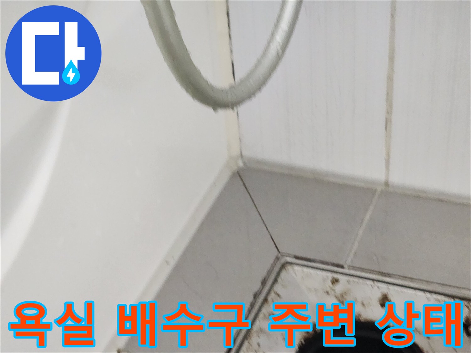 포천 영북면 화장레이 욕실 배수구 유가 주변의 오염된 상태를 보여주는 사진
