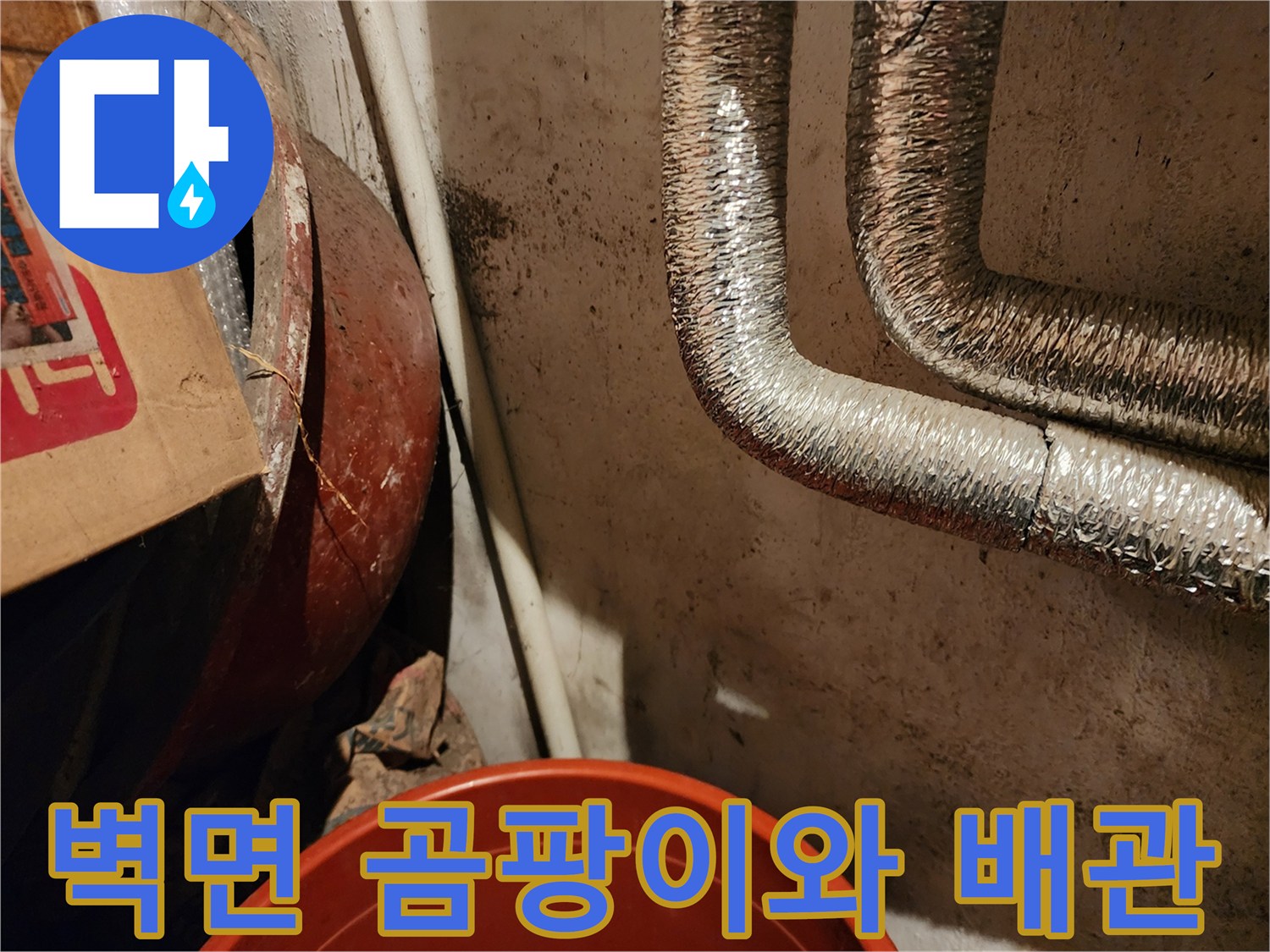 동두벽면-배관주변-곰팡이발생현황