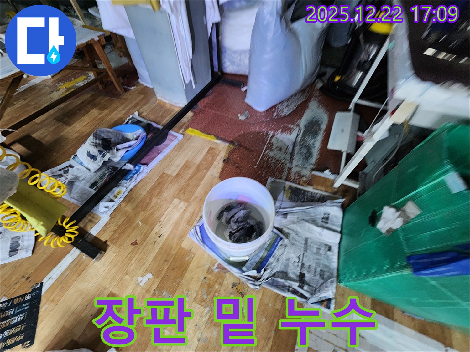 생연2동 누수 - 장판 밑에 고인 물, 심각한 누수