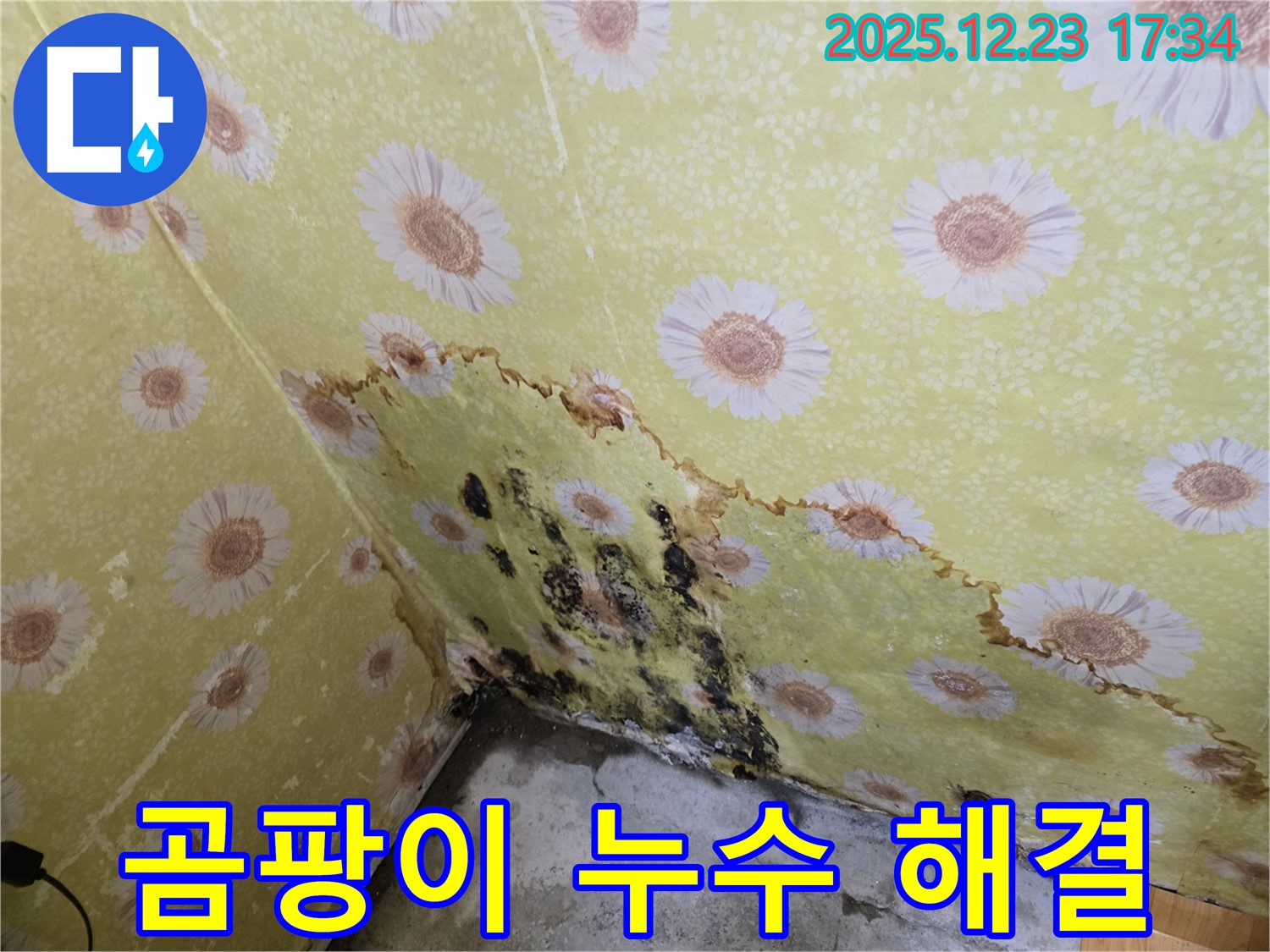동두천 생연동 곰팡이 누수 - 완벽 해결 시공으로 문제 해결 완료