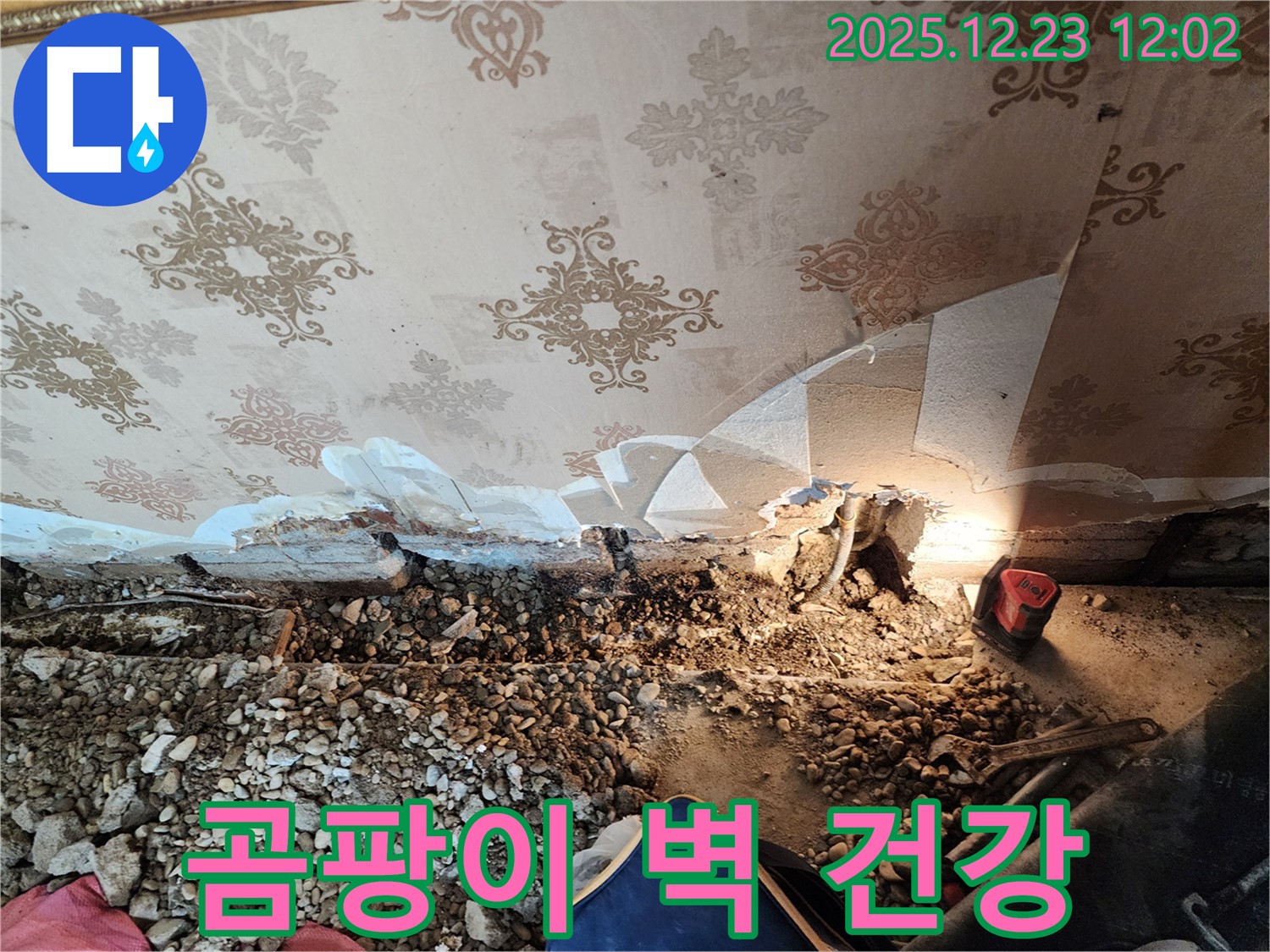 동두천 보산동 곰팡이 벽 누수 - 완벽 해결! 건강한 공간으로!