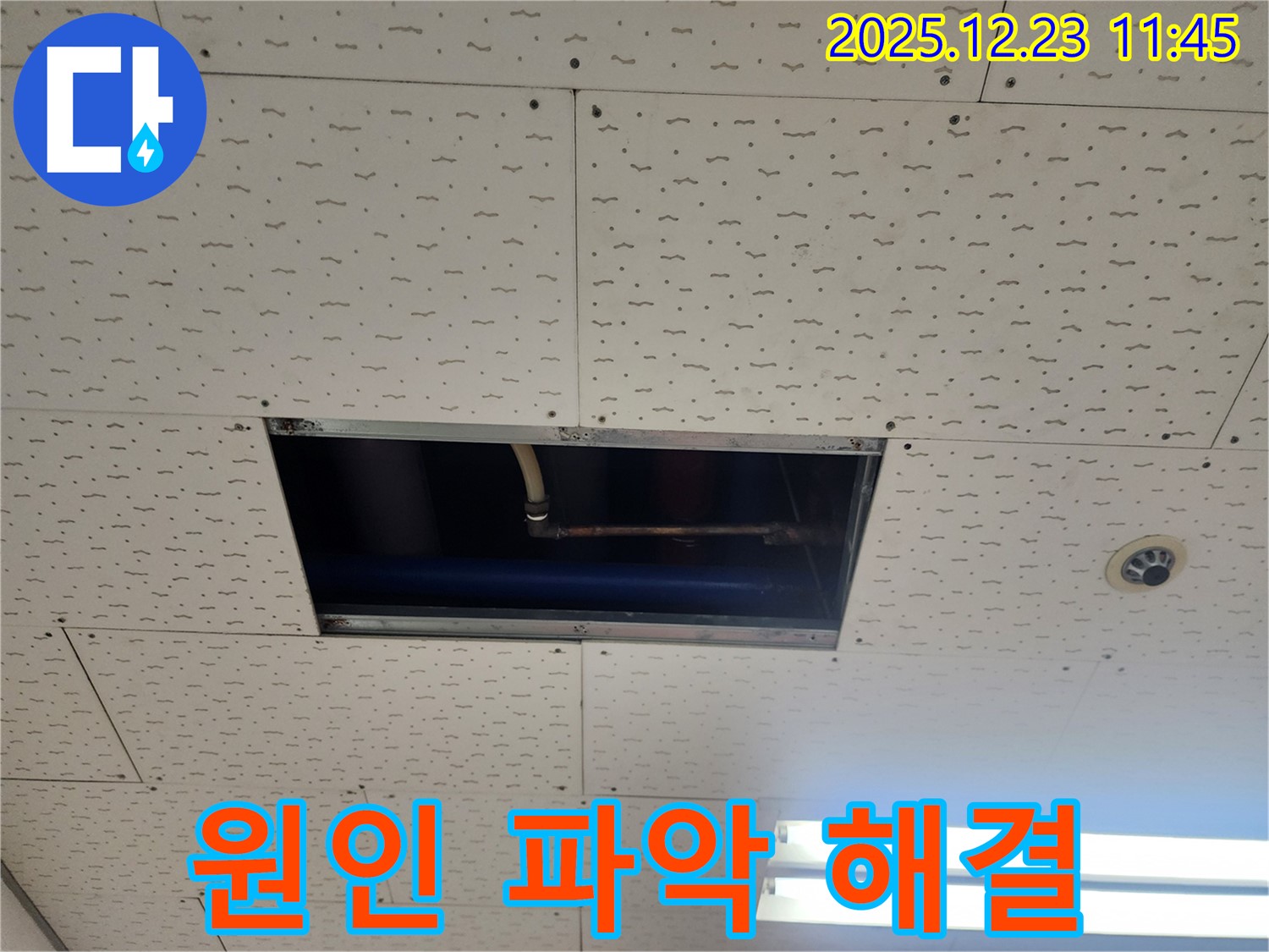 동두천시 보산동 천장 누수 - 원인 파악, 신속한 해결 약속