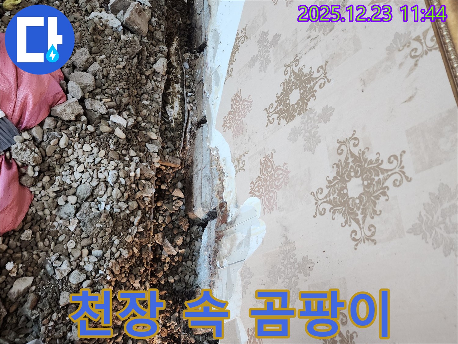 보산동 누수 - 천장 속 오염, 곰팡이와 습기가 만나 최악의 상황을 만들었습니다.
