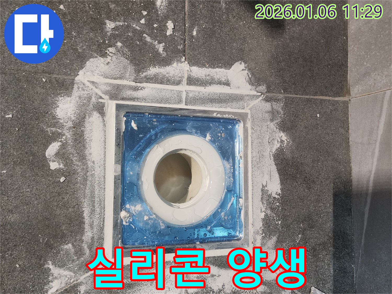 고암동 누수 - 욕실 배수구 주변 실리콘 시공 후 양생 중, 꼼꼼한 마무리가 중요!