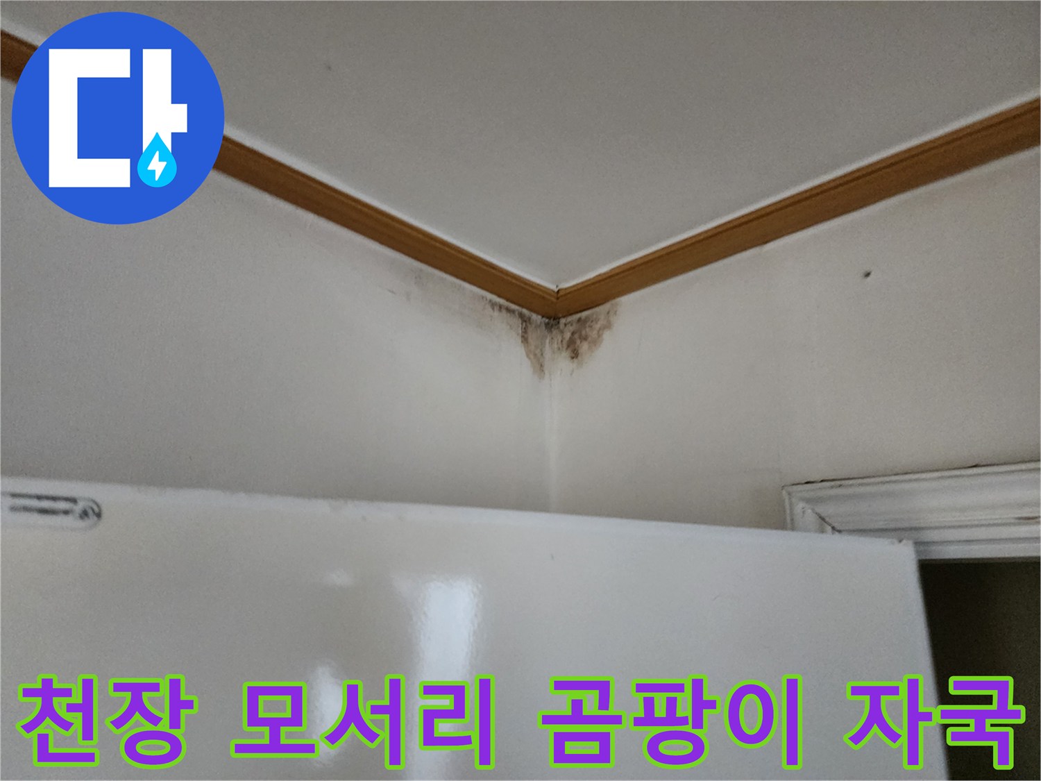 벽지와 몰딩 경계면에-발생한 곰팡이 오염 부위