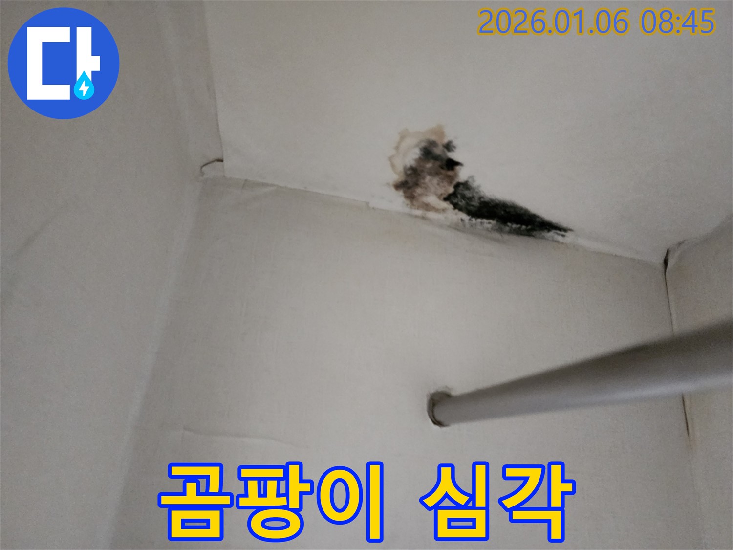 양주시 고암길 벽 모서리 누수 - 곰팡이가 심하게 발생한 벽 모서리