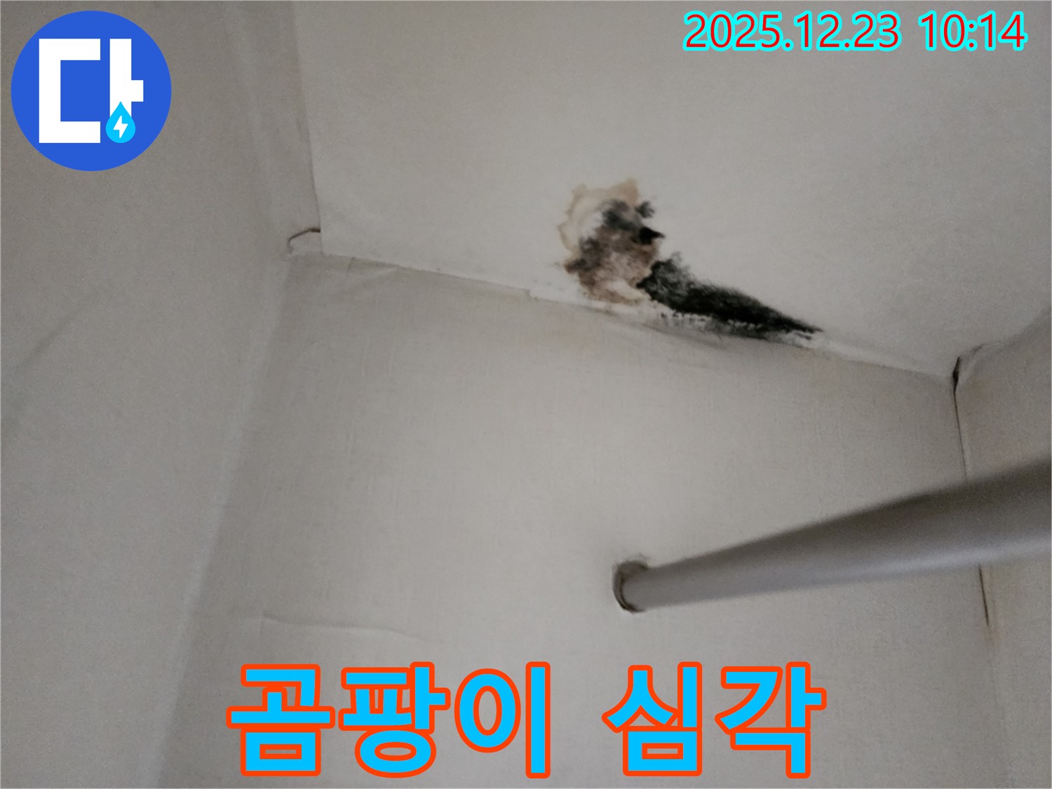 양주시 벽 모서리 누수 - 곰팡이가 심하게 발생한 벽 모서리