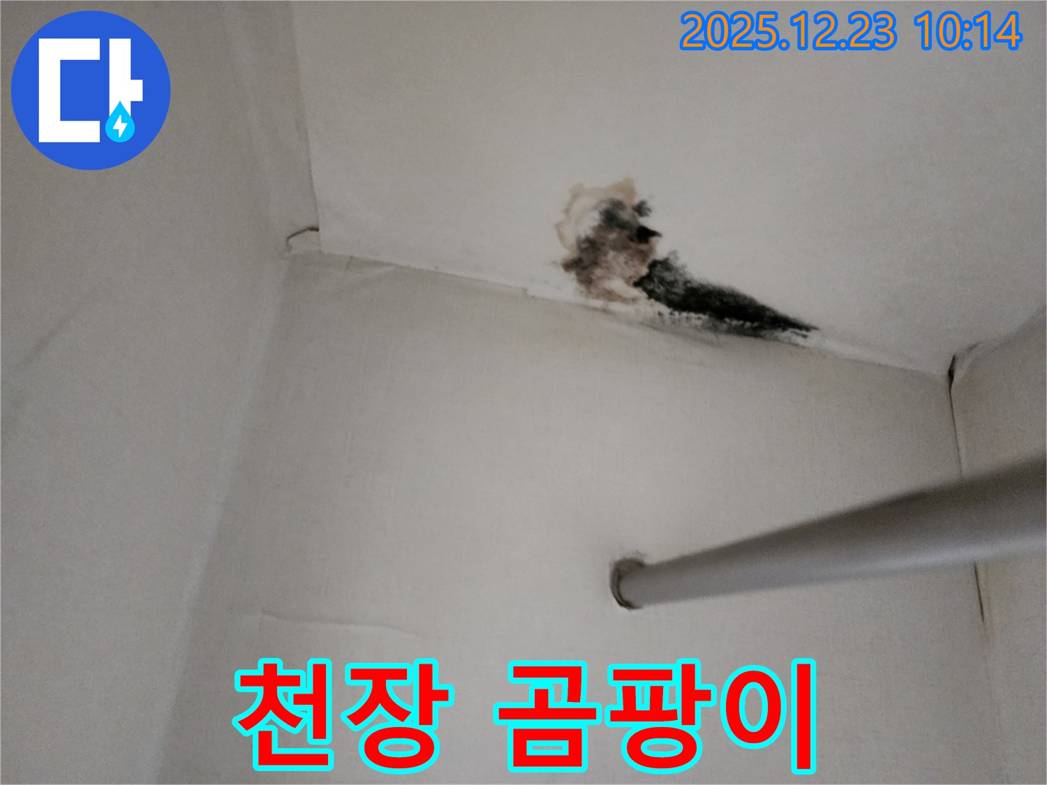 양주시 옷장 천장 누수 - 곰팡이로 뒤덮인 천장